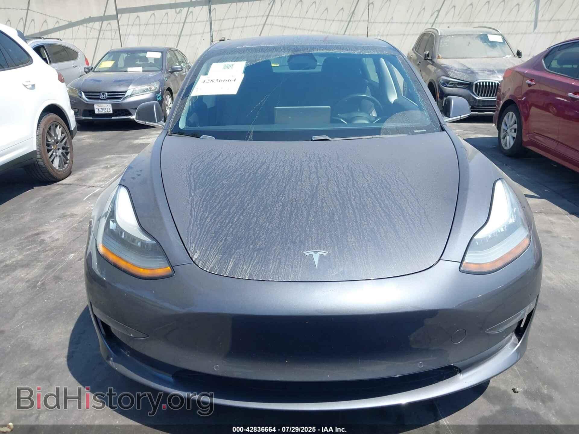 2019 TESLA MODEL 3 - VIN: 5YJ3E1EA5KF325480 - Фото 13