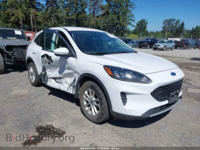 2020 Ford ESCAPE SE, белый — VIN 1FMCU9G66LUA14008, IAAI