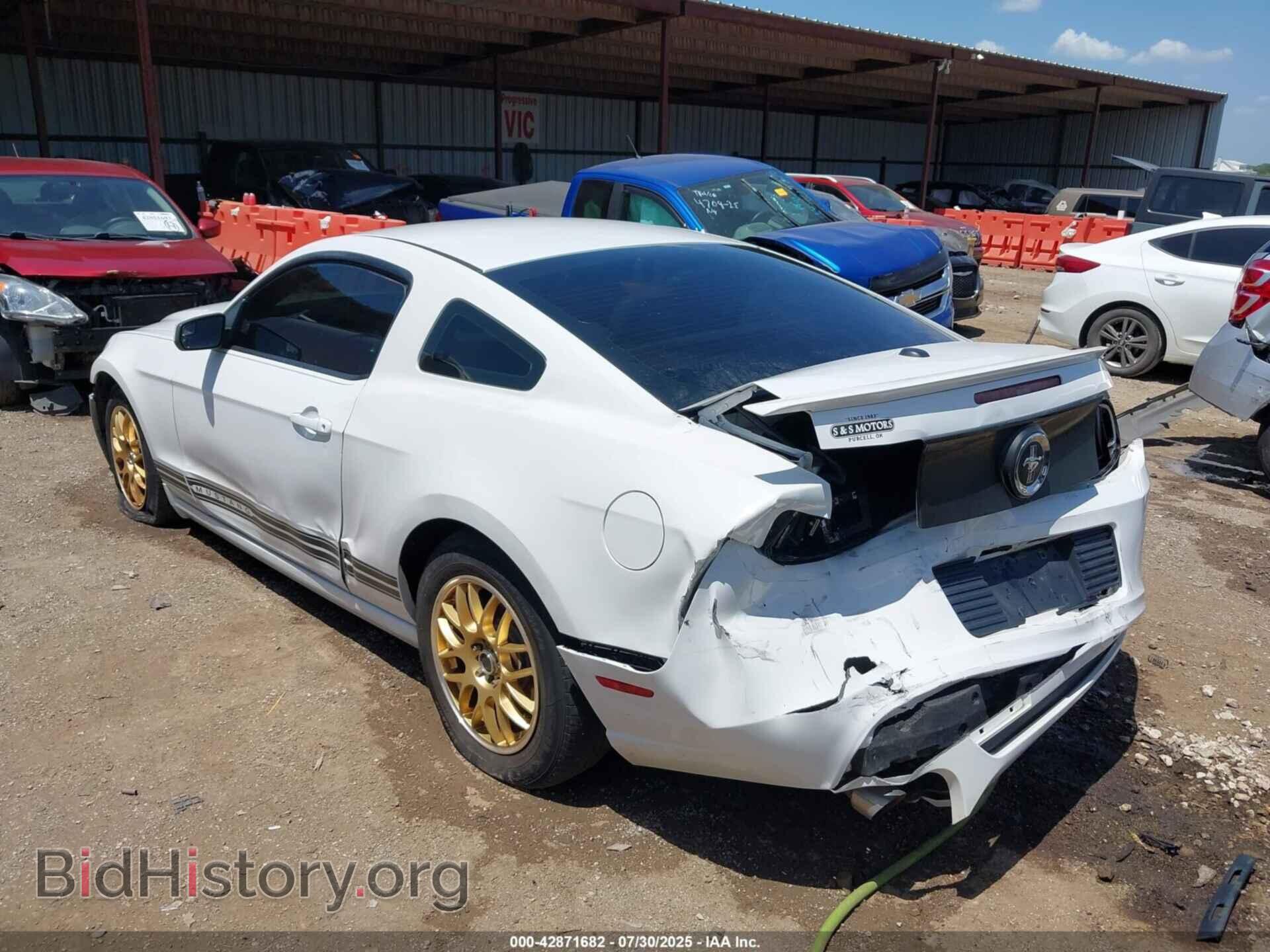 2014 FORD MUSTANG - VIN: 1ZVBP8AM7E5236558 - Фото 3