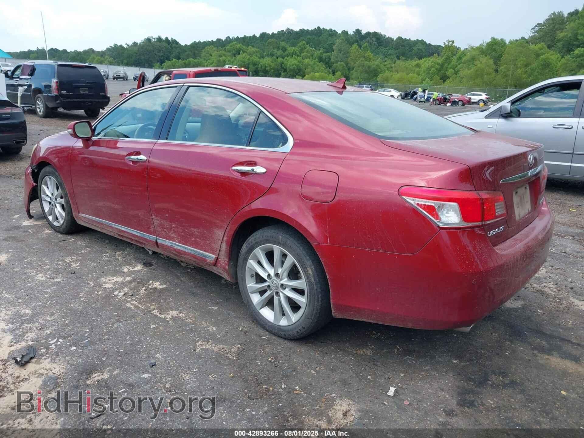 2010 LEXUS ES 350 - VIN: JTHBK1EG8A2379056 - Фото 3