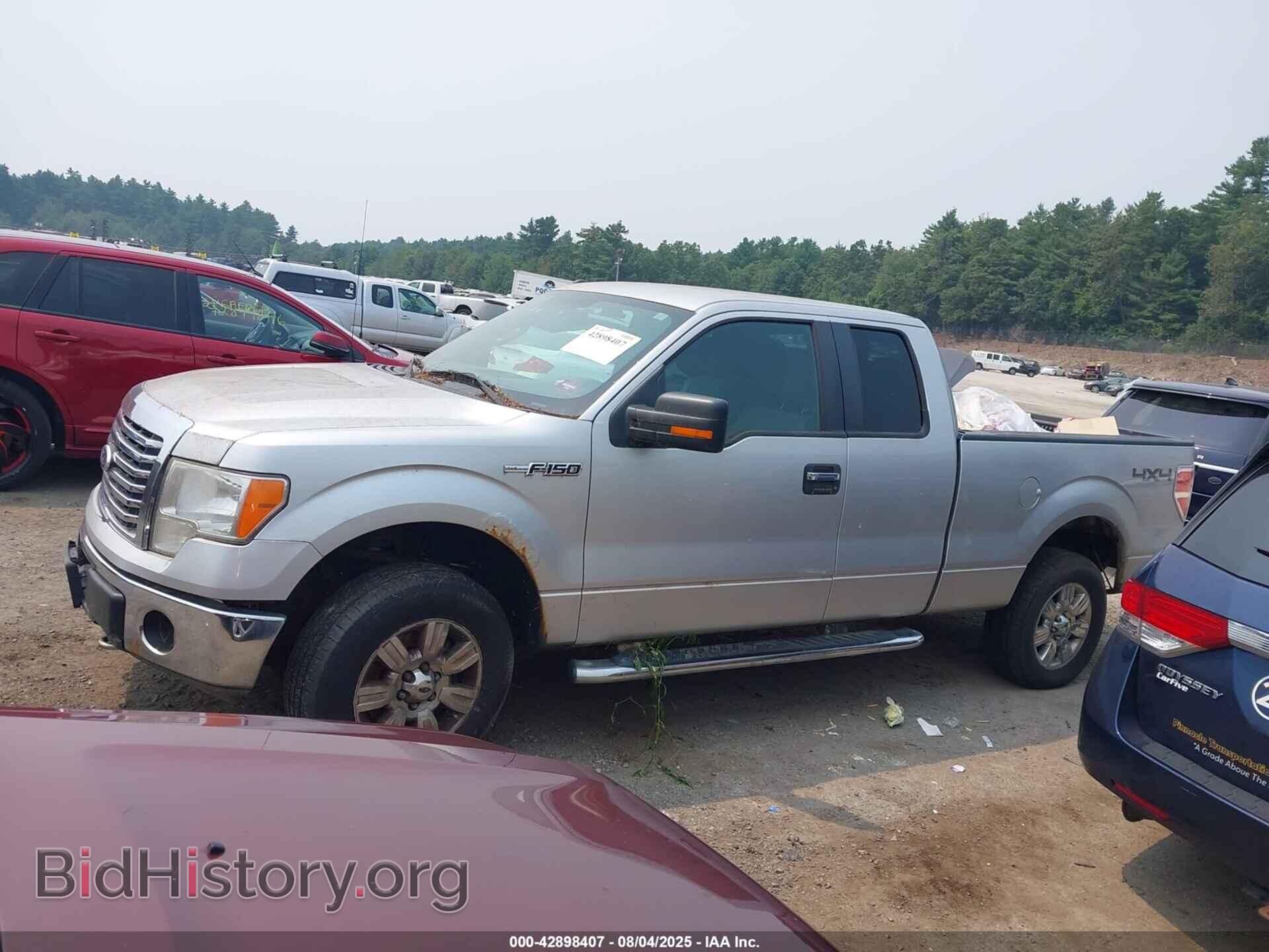 2011 FORD F150 - VIN: 1FTFX1EF7BFA29214 - Фото 14