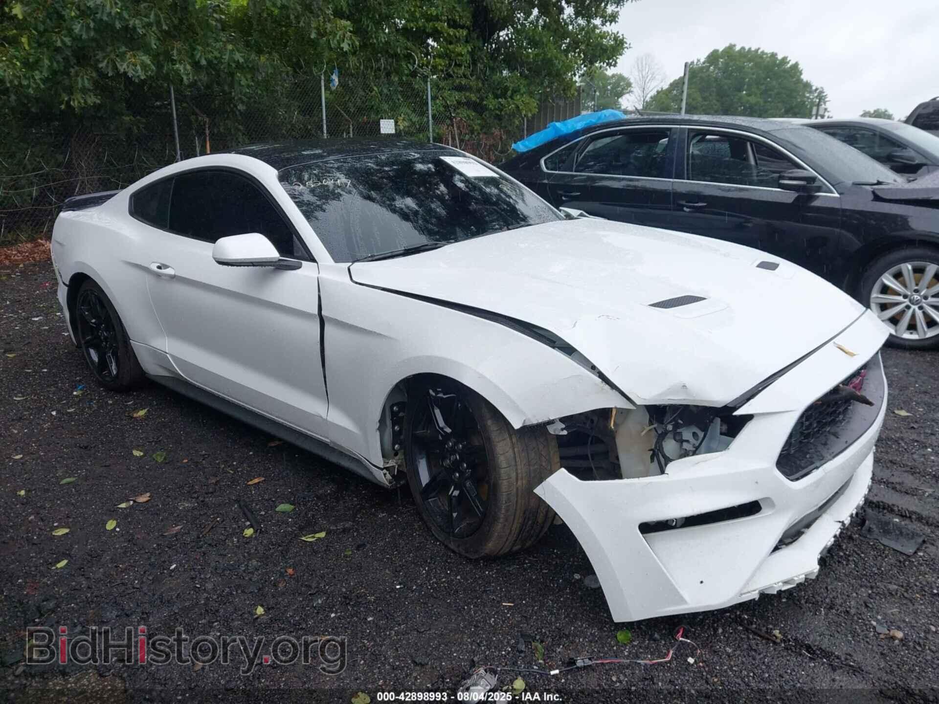 Фотография 1FA6P8TH3K5111482 - FORD MUSTANG 2019