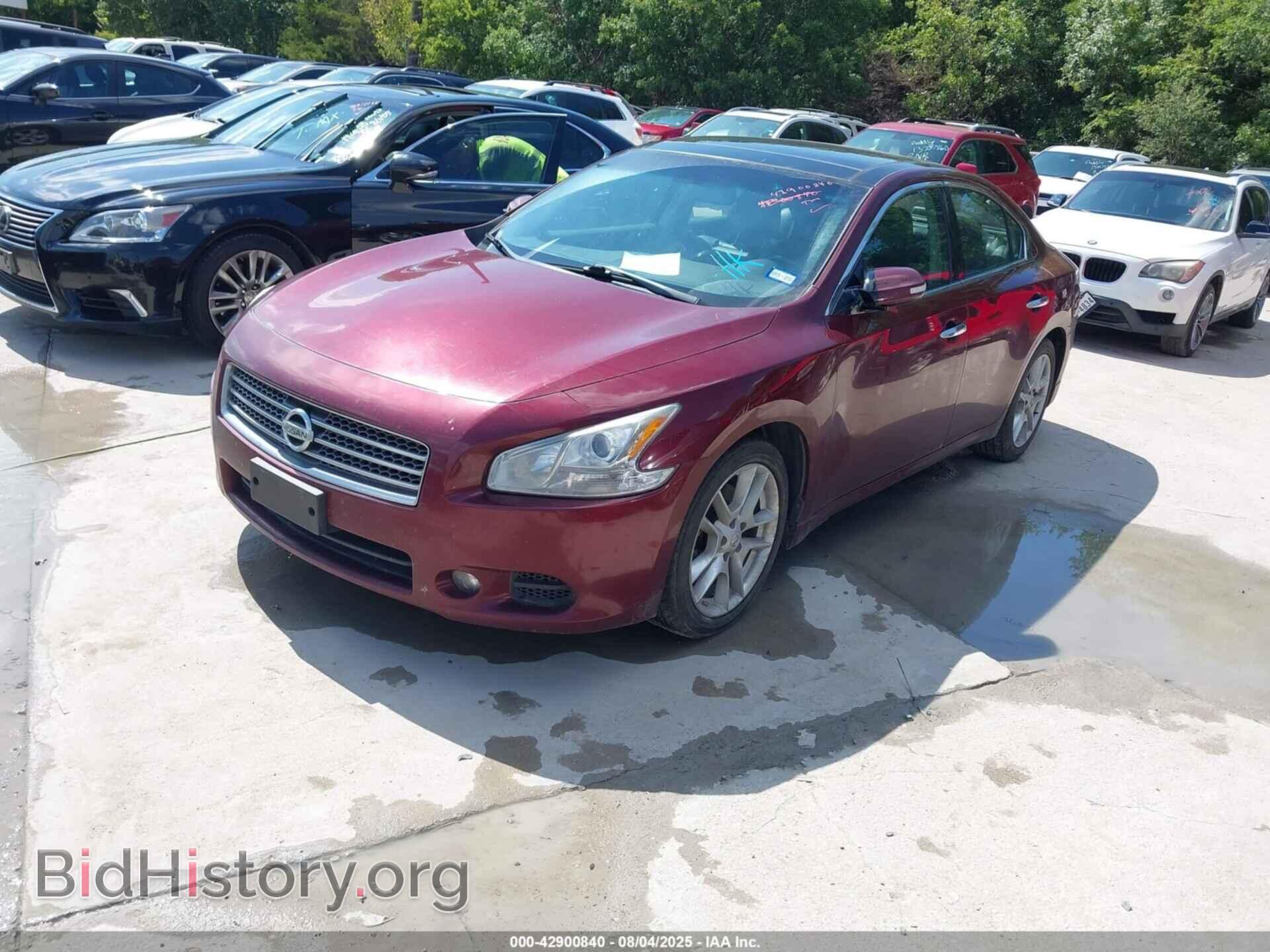 2011 NISSAN MAXIMA - VIN: 1N4AA5AP1BC835252 - Фото 2