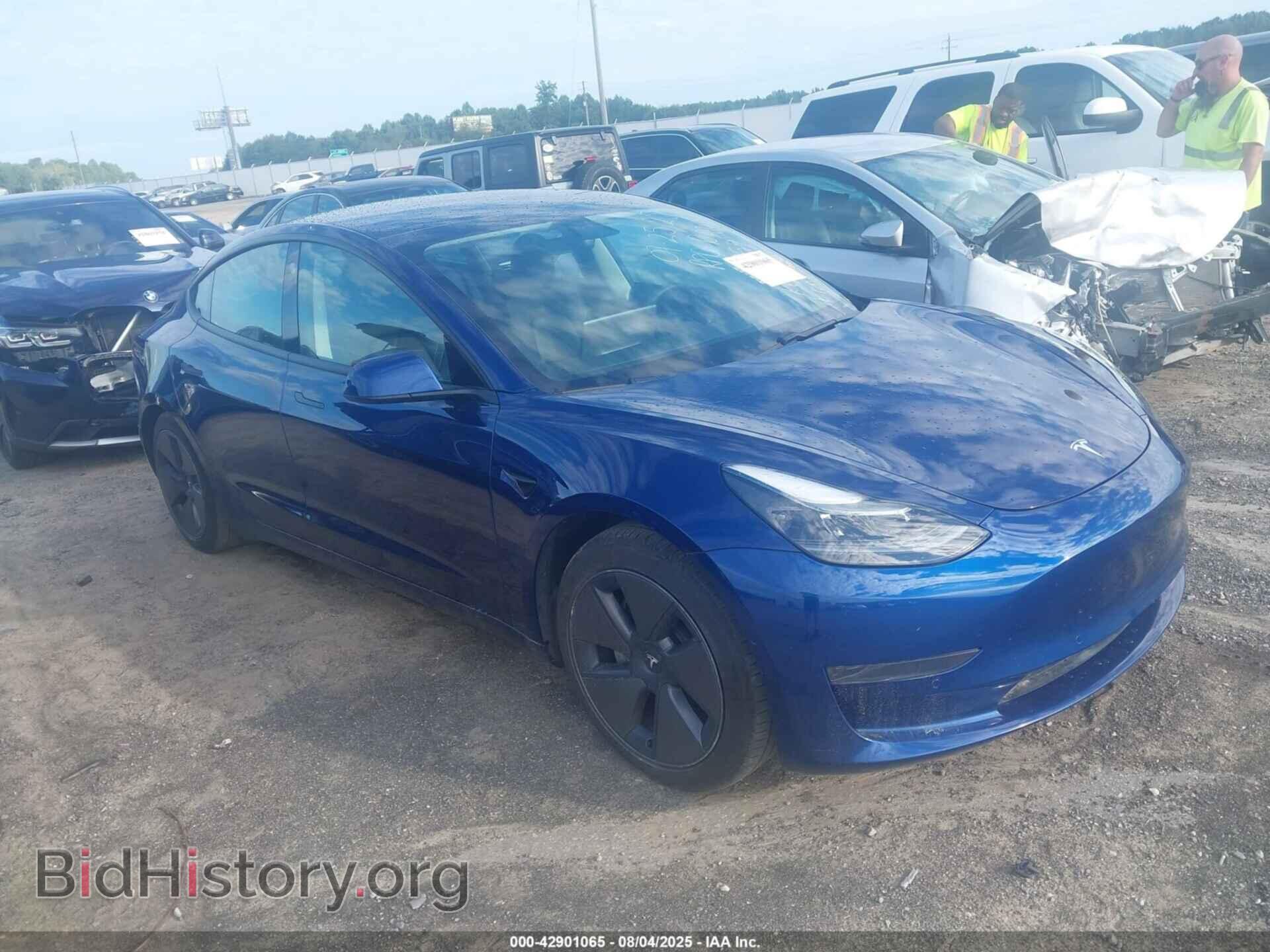 Photo 5YJ3E1EAXMF017059 - TESLA MODEL 3 2021