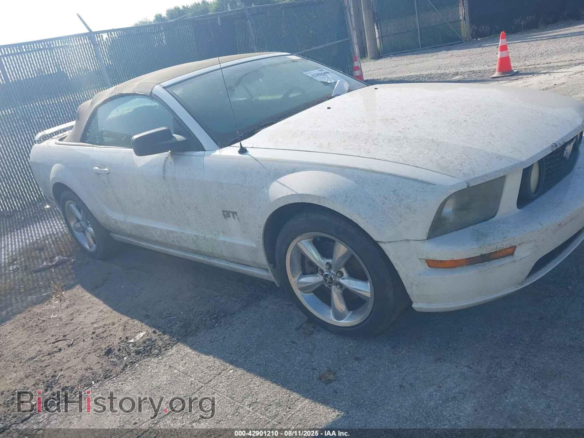 2006 FORD MUSTANG - VIN: 1ZVHT85H265254387 - Фото 13