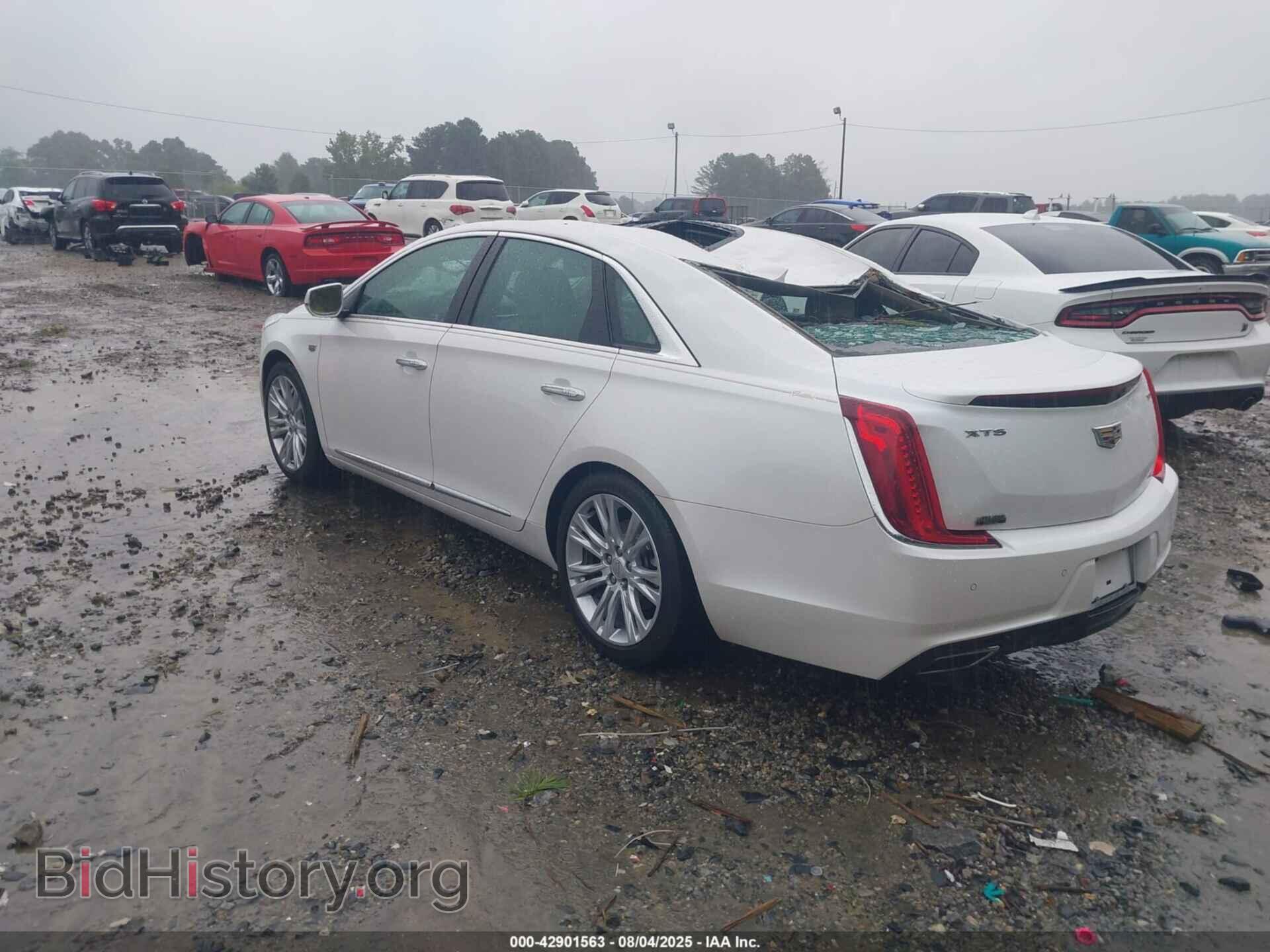 2019 CADILLAC XTS - VIN: 2G61M5S34K9102099 - Фото 3