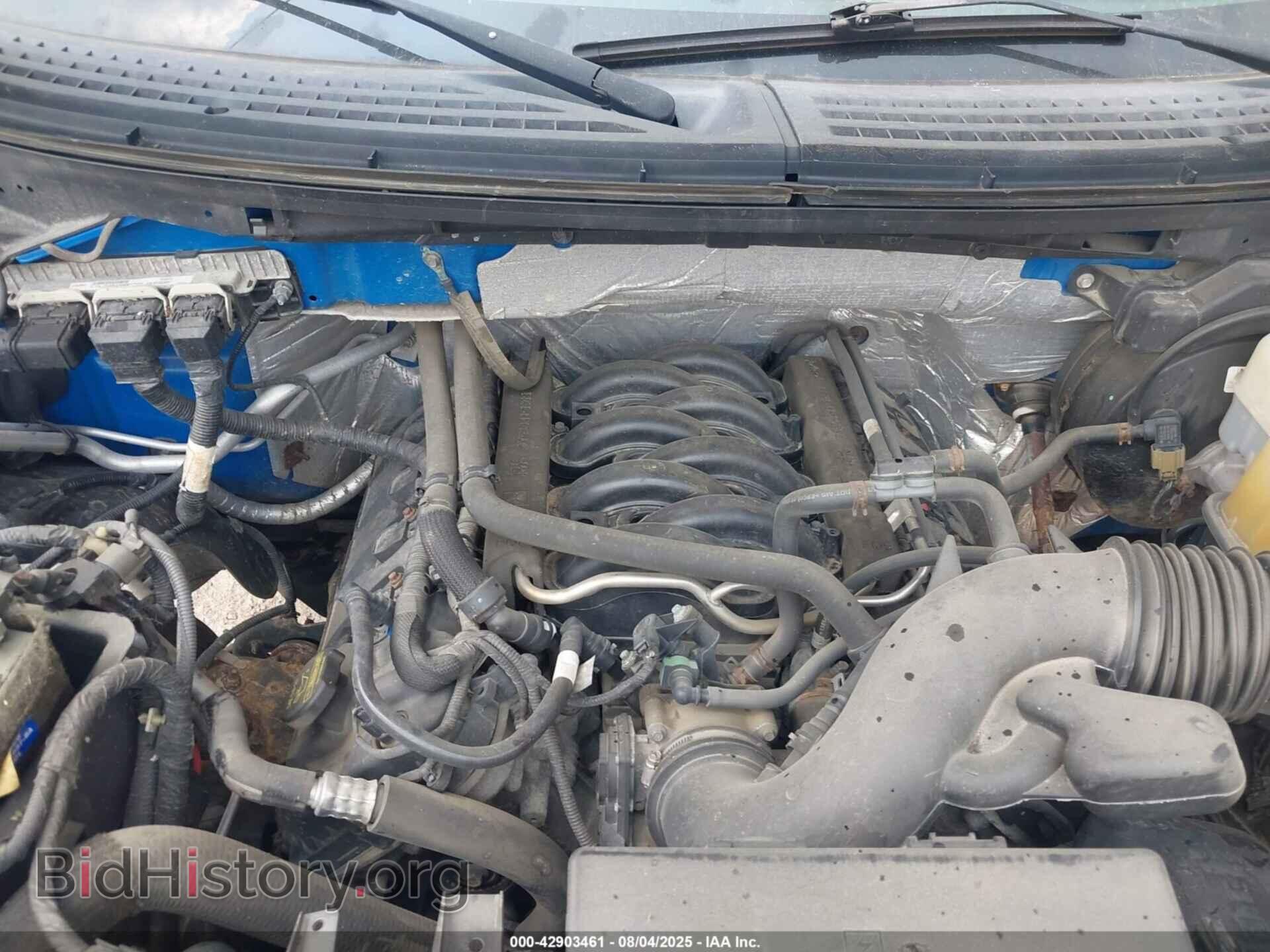 2014 FORD F-150 - VIN: 1FTFX1EF1EFC65958 - Фото 10