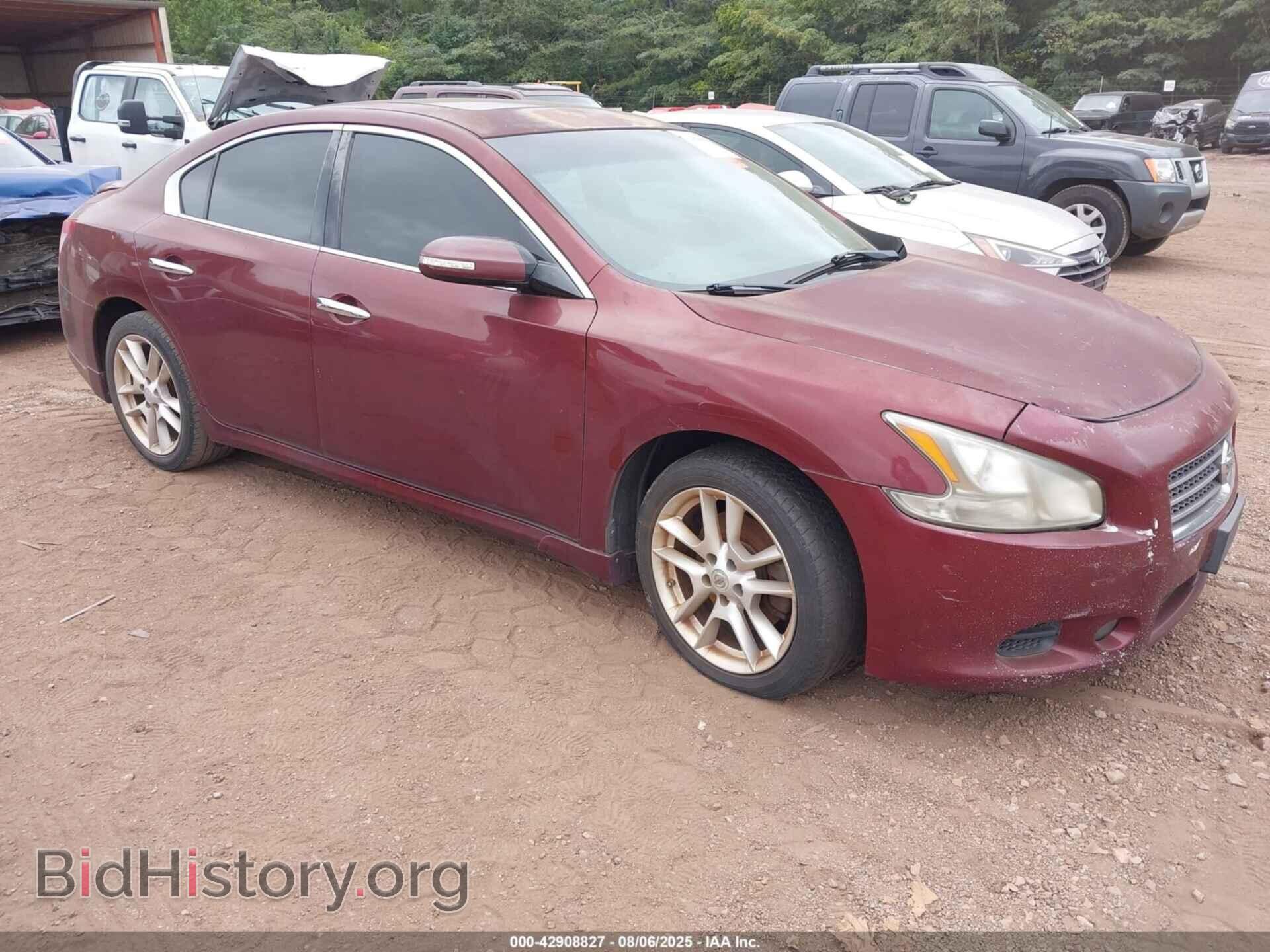 Photo 1N4AA5AP5BC833312 - NISSAN MAXIMA 2011