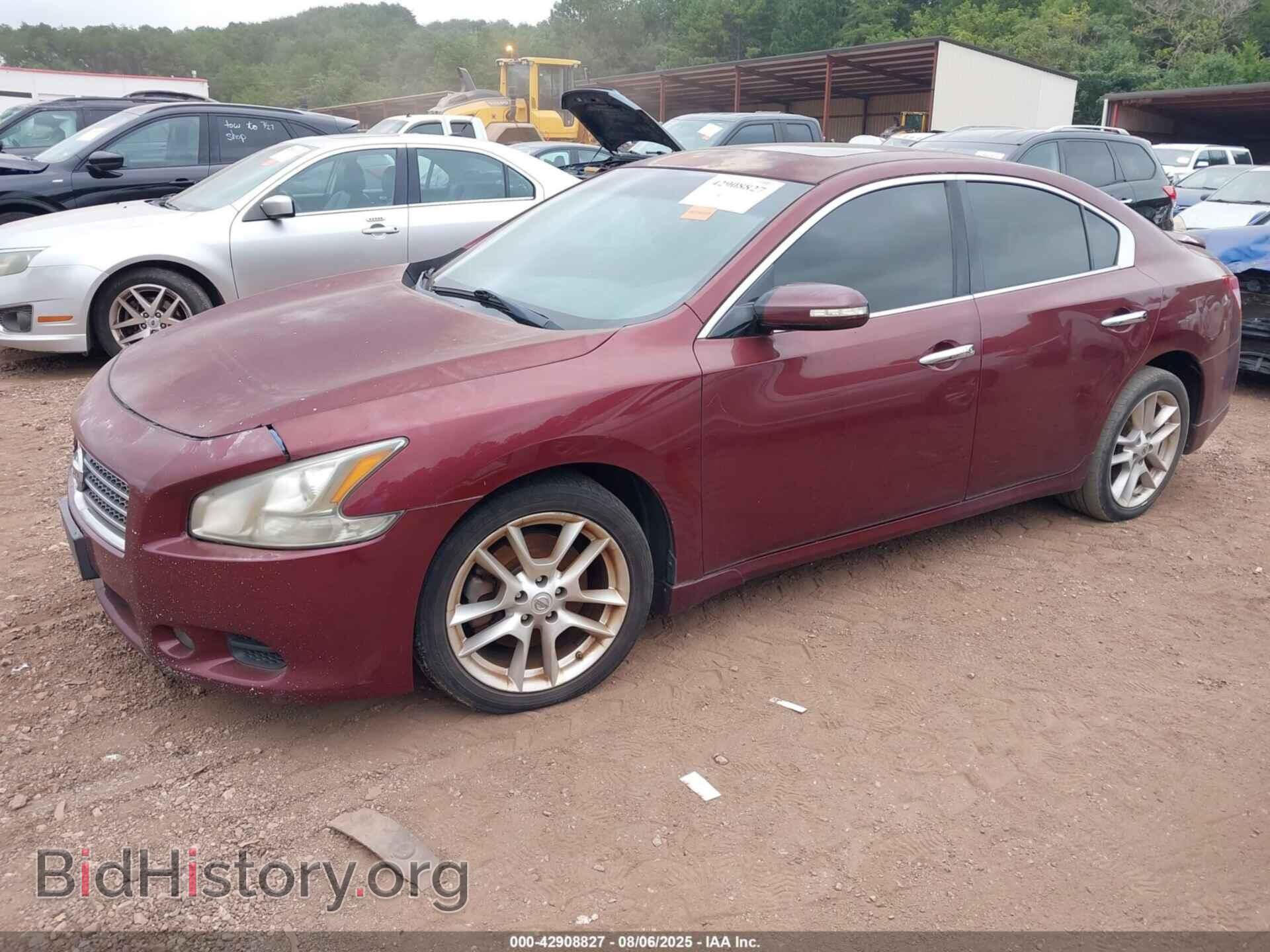 2011 NISSAN MAXIMA - VIN: 1N4AA5AP5BC833312 - Фото 2