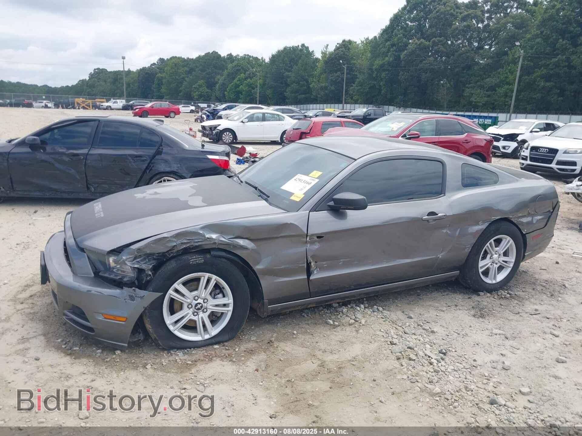 2014 FORD MUSTANG - VIN: 1ZVBP8AM8E5274980 - Фото 6
