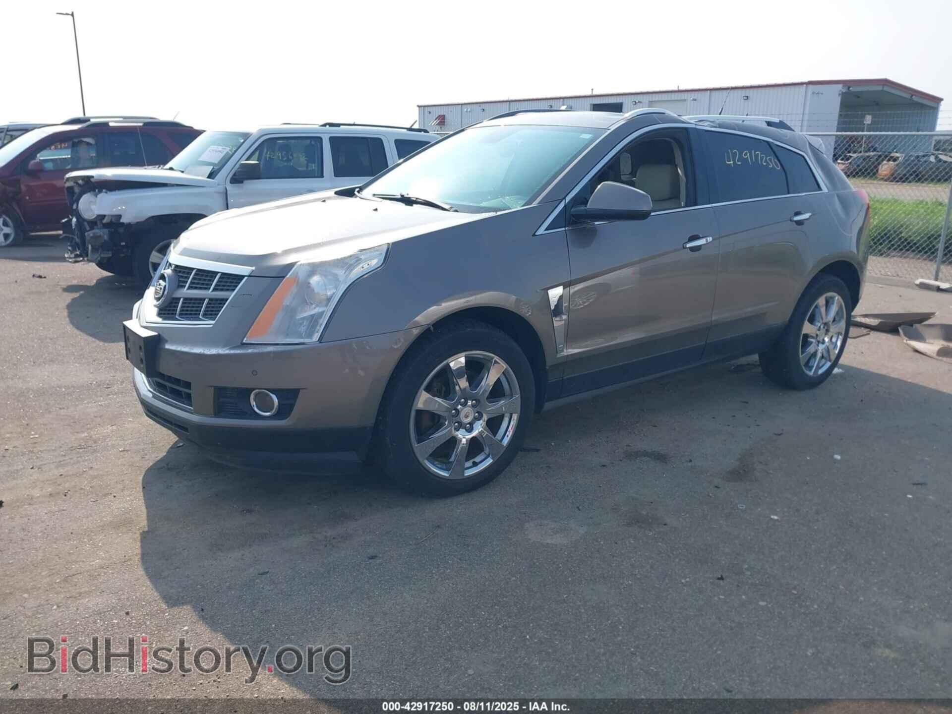 2011 CADILLAC SRX - VIN: 3GYFNFEY3BS565605 - Фото 2