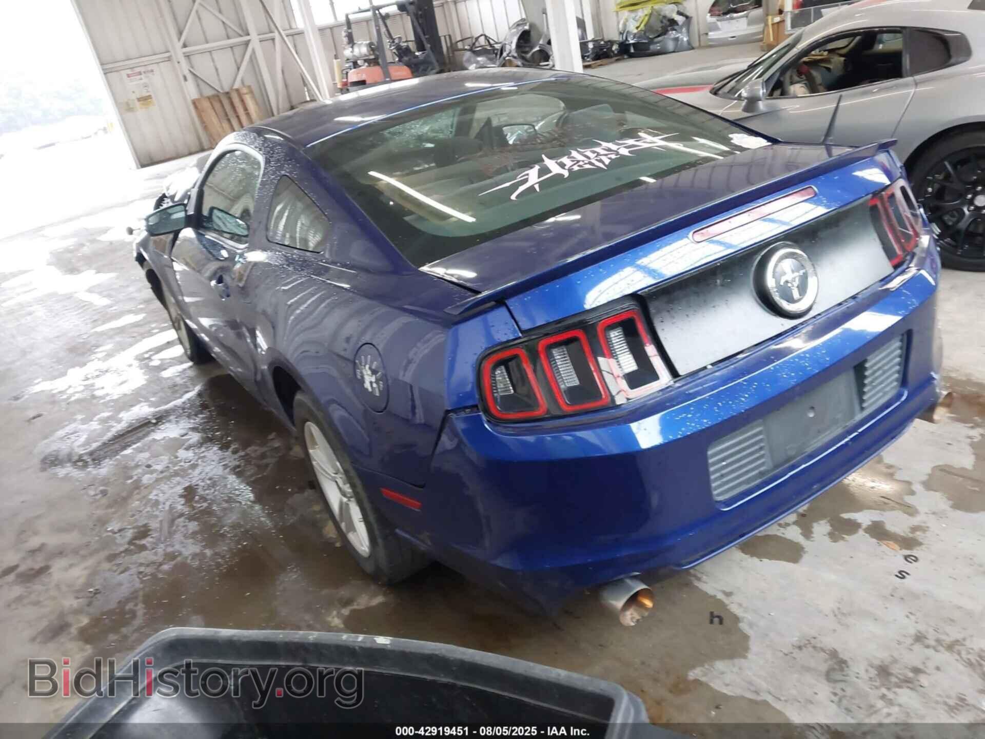 2013 FORD MUSTANG - VIN: 1ZVBP8AM1D5268176 - Фото 3