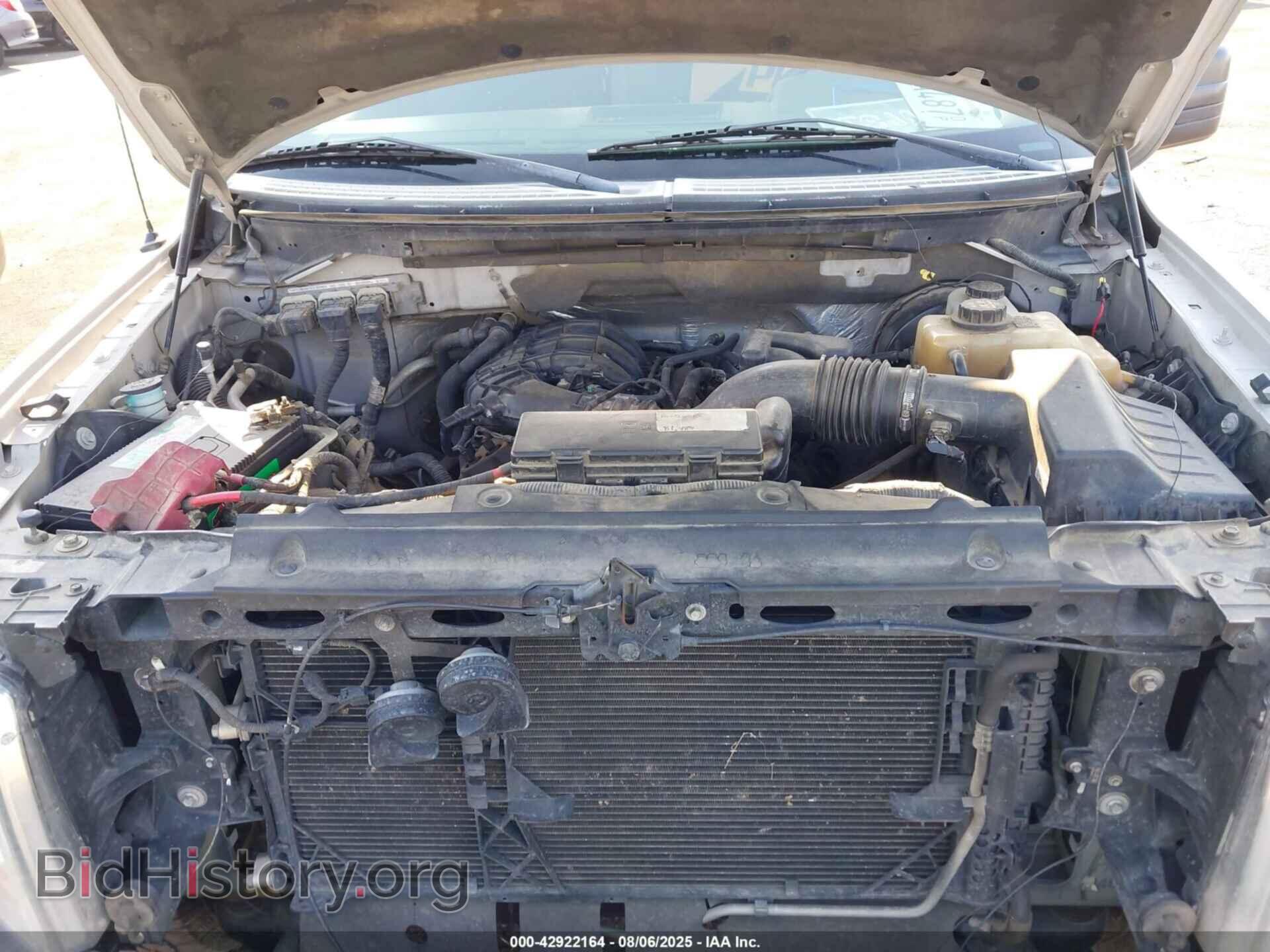 2012 FORD F-150 - VIN: 1FTMF1CMXCFC21563 - Фото 10