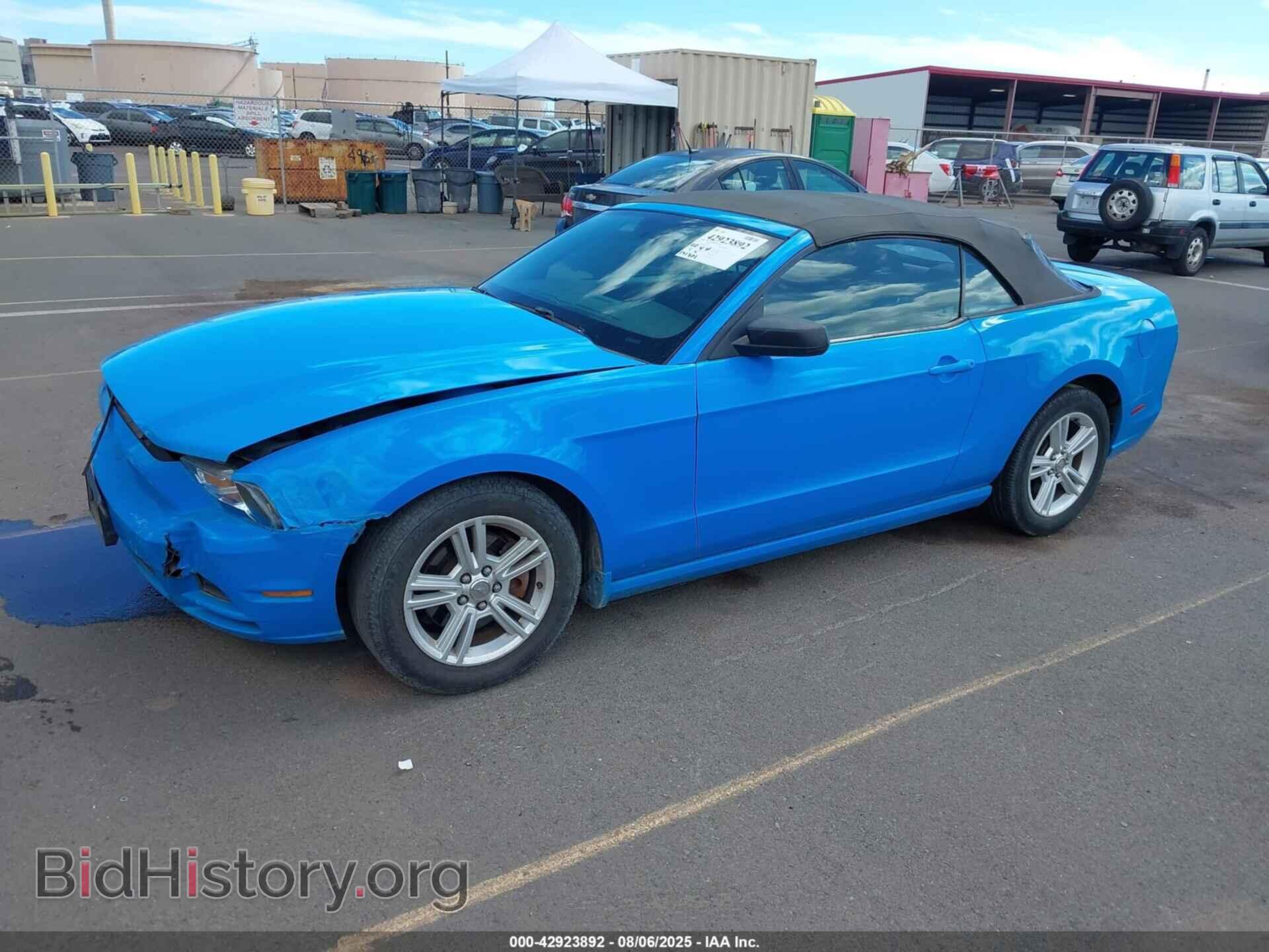 2013 FORD MUSTANG - VIN: 1ZVBP8EM9D5219737 - Фото 2