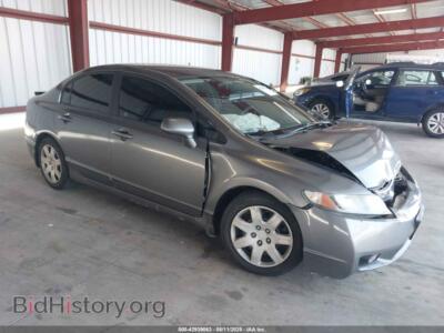 2010 Honda CIVIC LX, серый — VIN 19XFA1F5XAE081016, IAAI