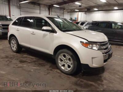 2013 Ford EDGE SEL, белый — VIN 2FMDK3JC7DBE24099, IAAI