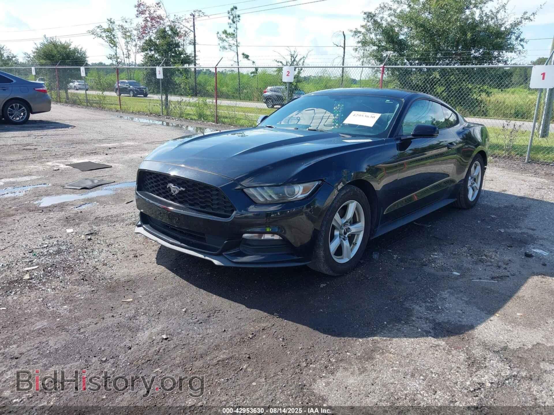 2017 FORD MUSTANG - VIN: 1FA6P8AM7H5226594 - Фото 2