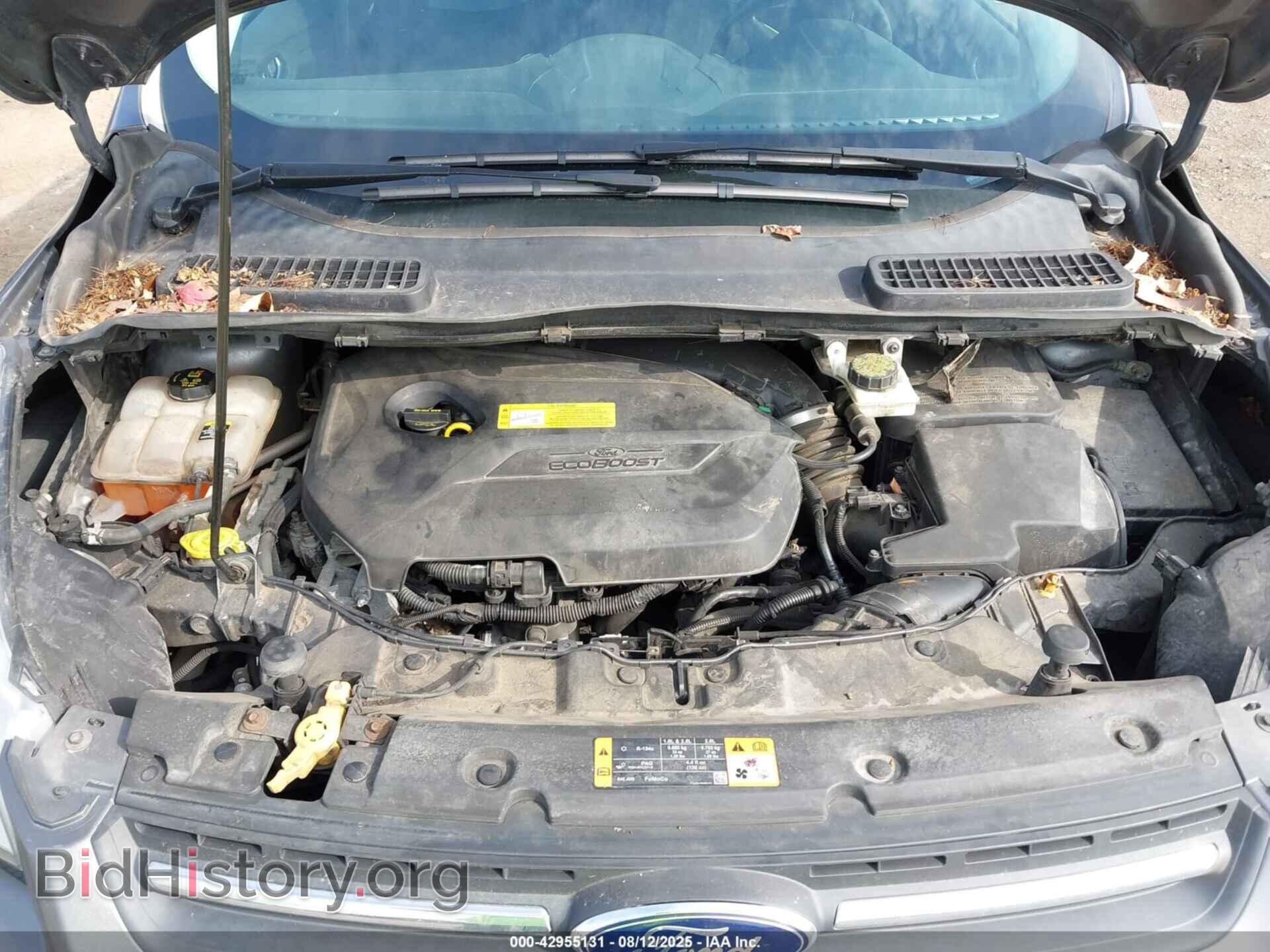 2013 FORD ESCAPE - VIN: 1FMCU0GX4DUB53687 - Фото 10