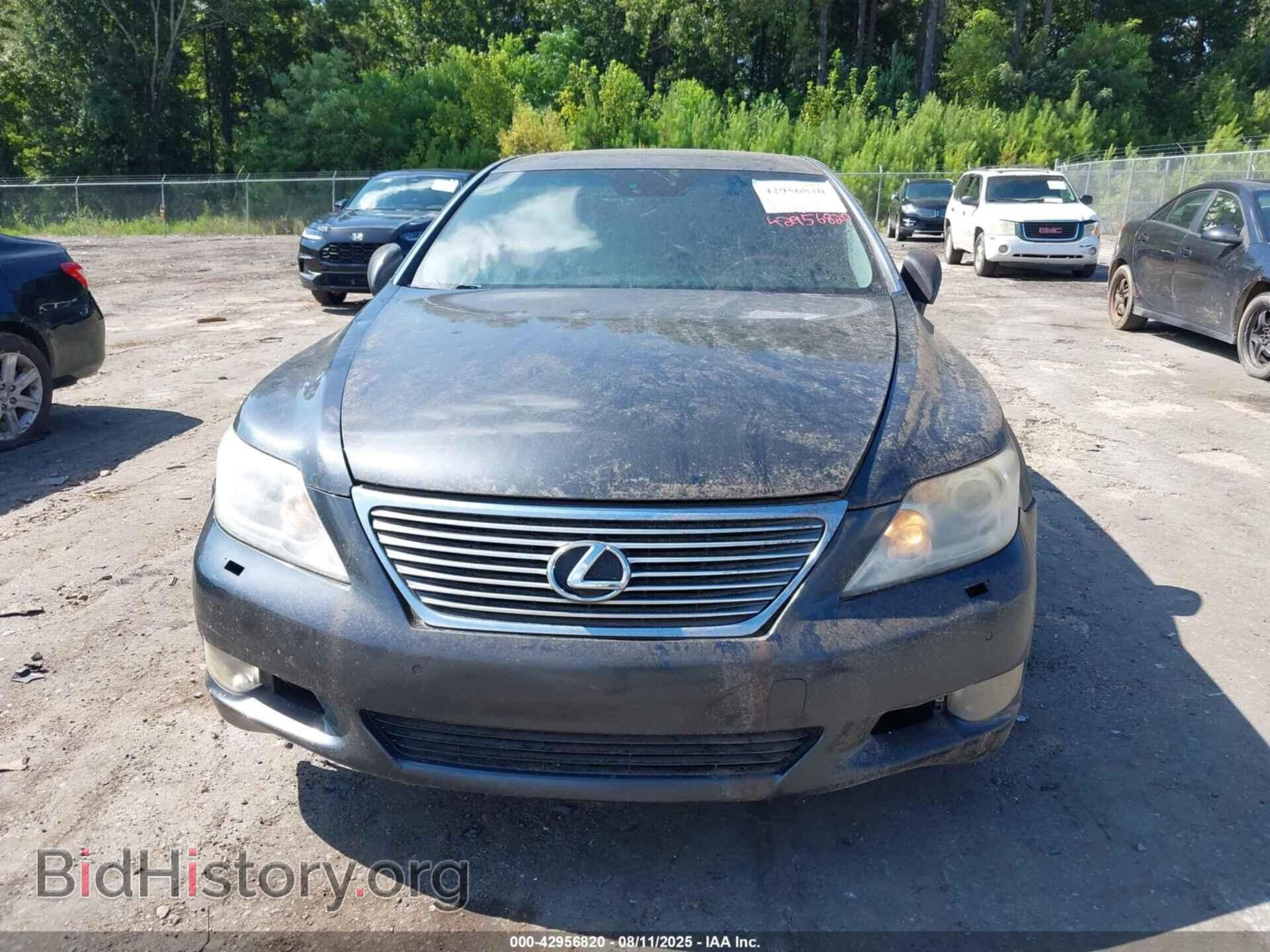 2010 LEXUS LS 460 - VIN: JTHBL5EF5A5094163 - Фото 6