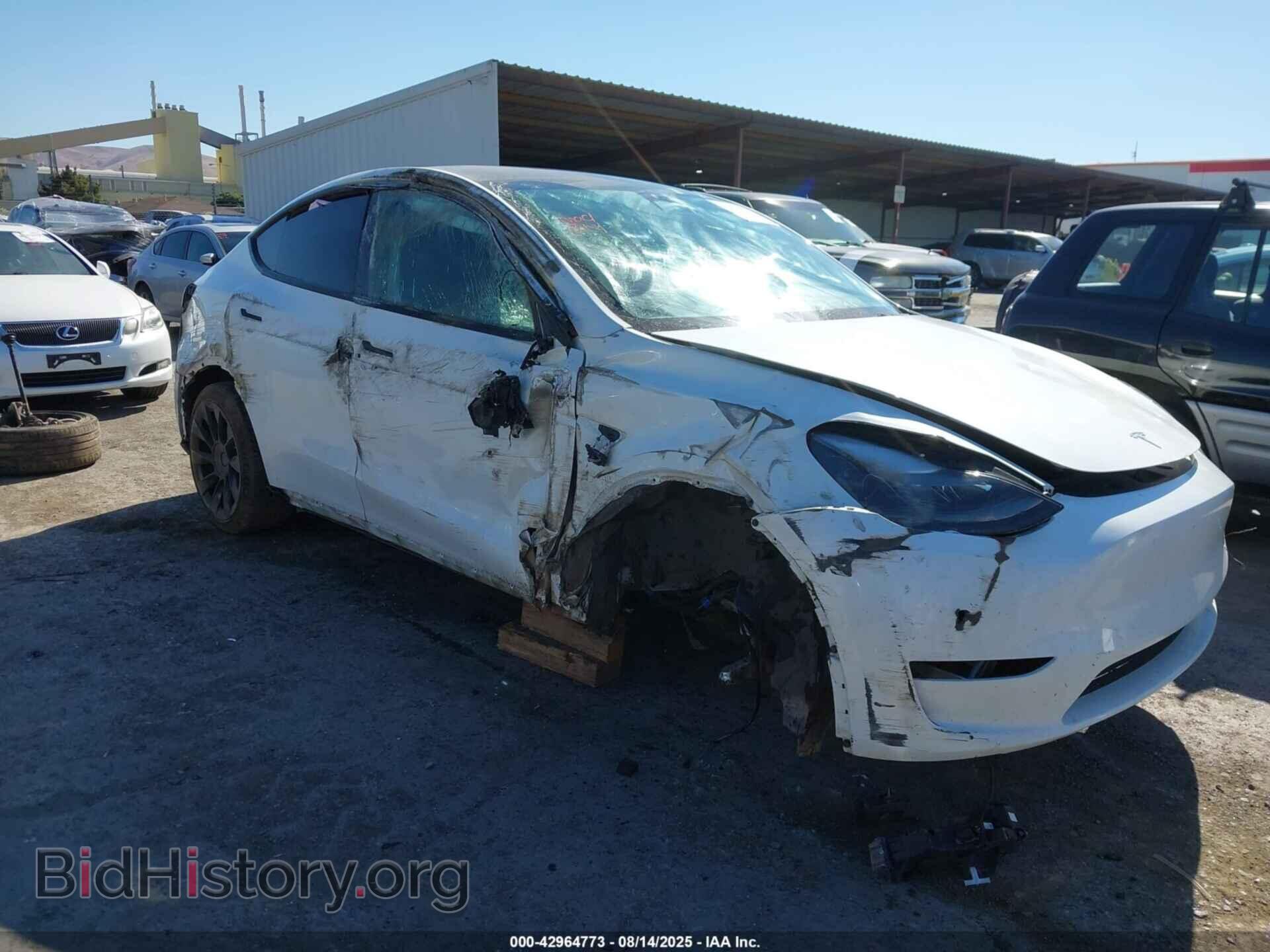Photo 7SAYGDEE7PF710117 - TESLA MODEL Y 2023