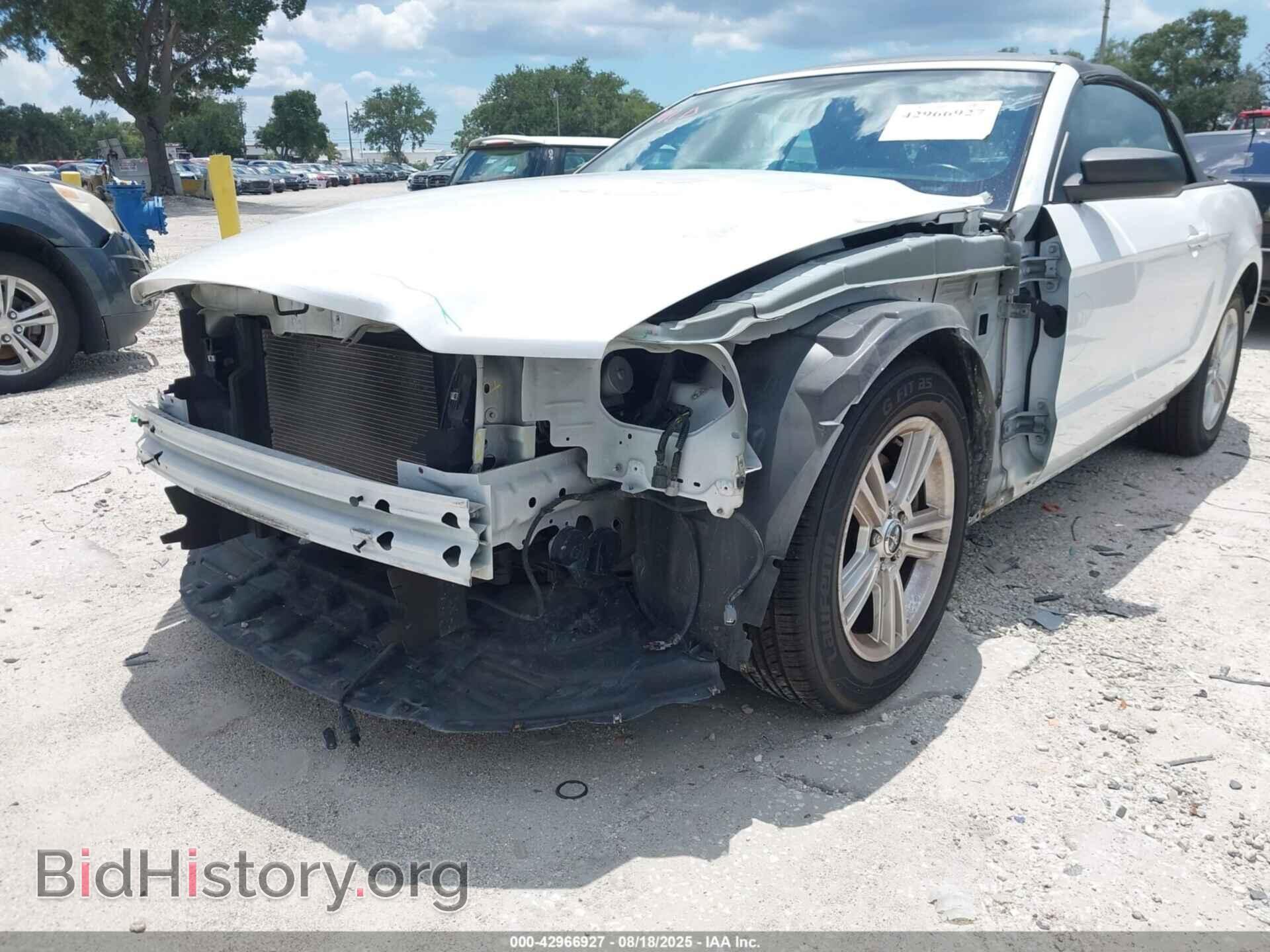 2014 FORD MUSTANG - VIN: 1ZVBP8EM6E5322549 - Фото 6