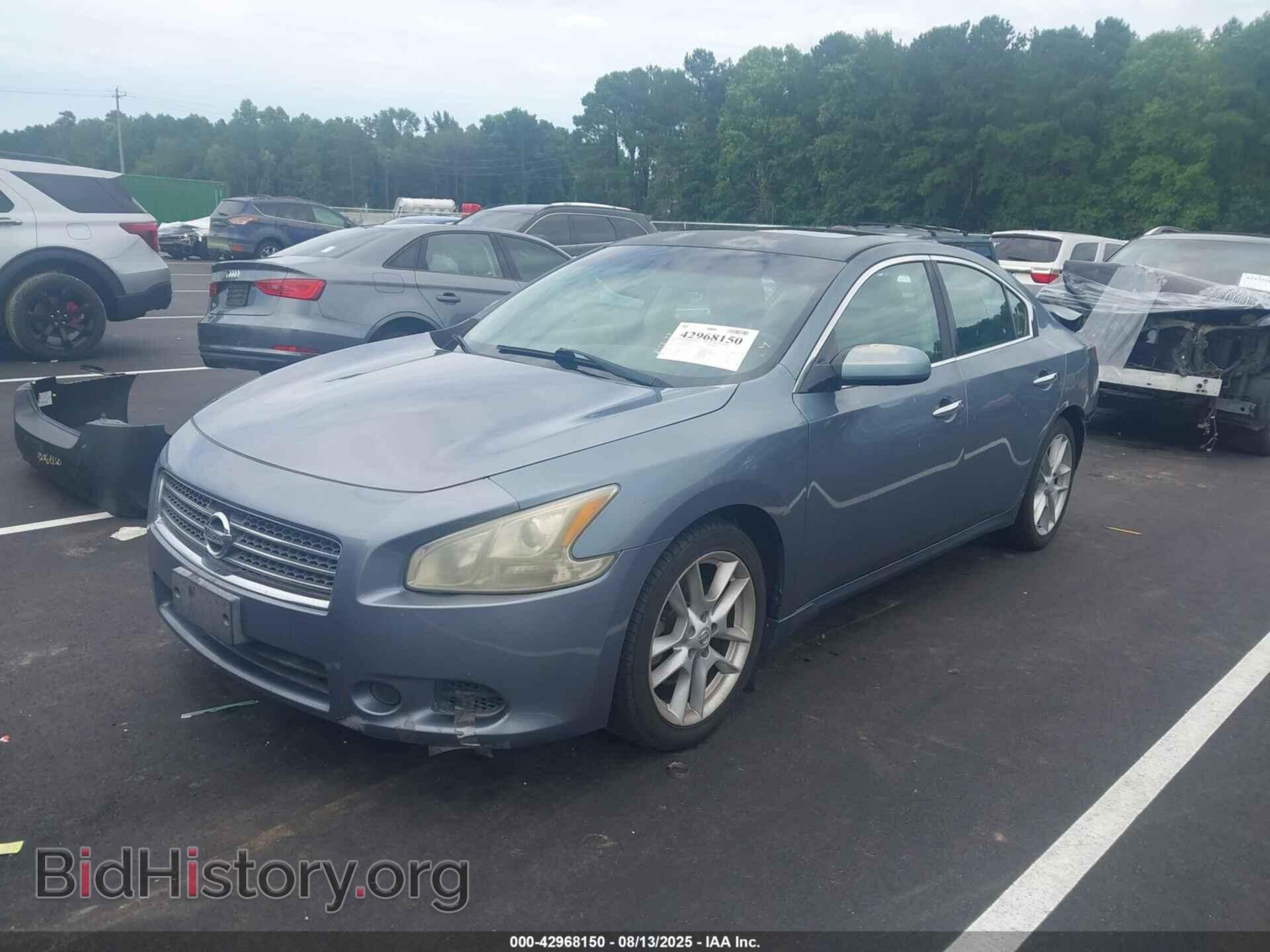 2010 NISSAN MAXIMA - VIN: 1N4AA5AP1AC855211 - Фото 2