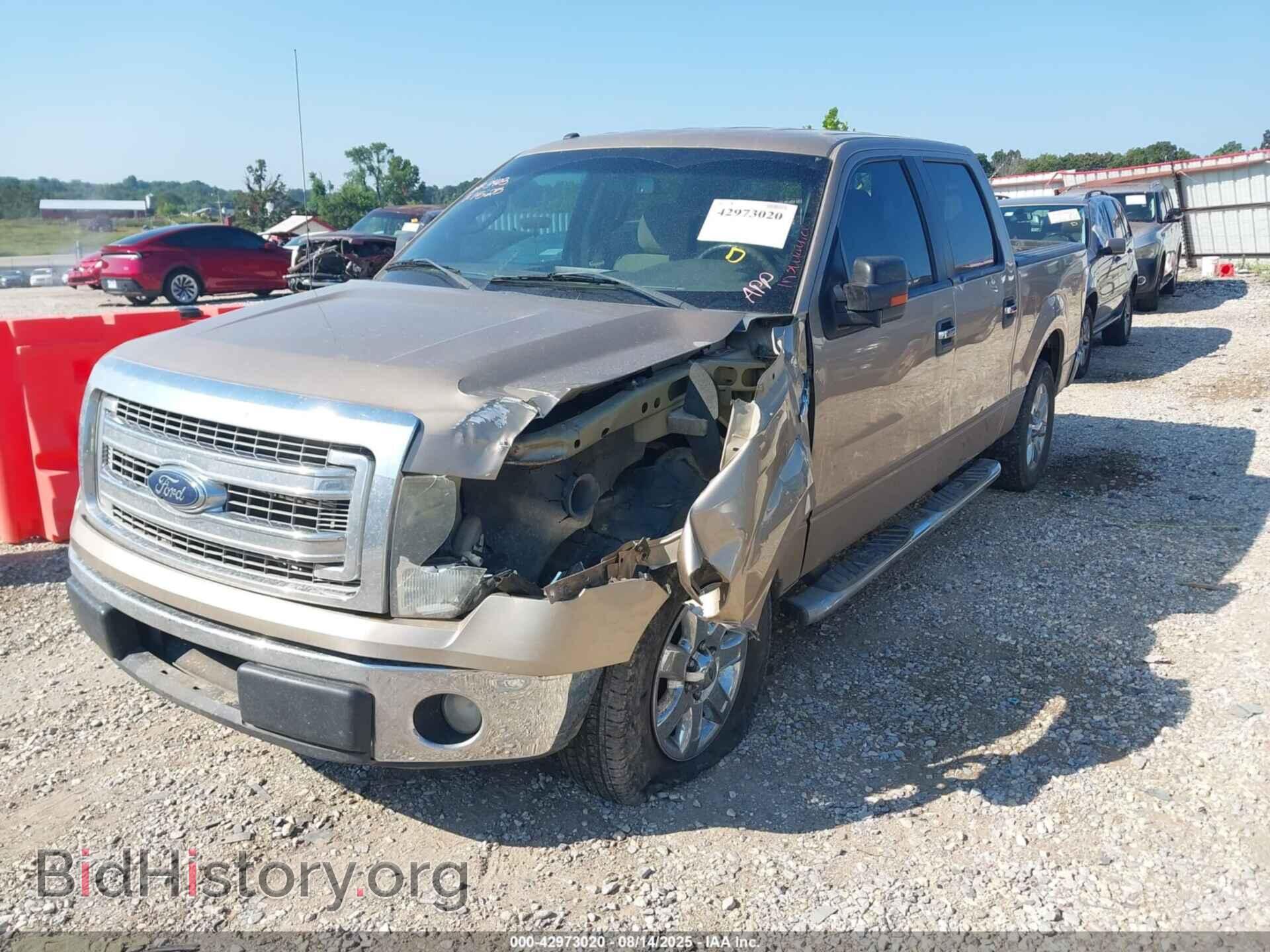 2013 FORD F-150 - VIN: 1FTFW1CF7DKF24917 - Фото 2