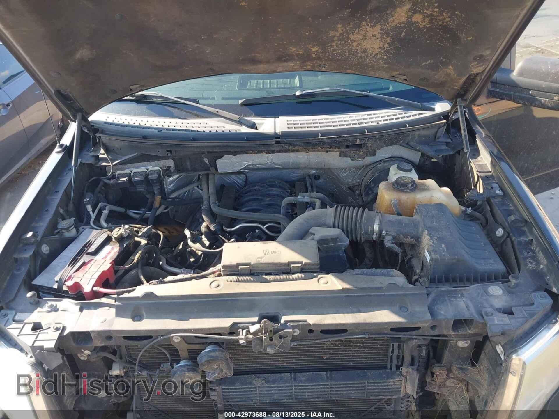 2013 FORD F-150 - VIN: 1FTMF1CF4DFD95034 - Photo 10