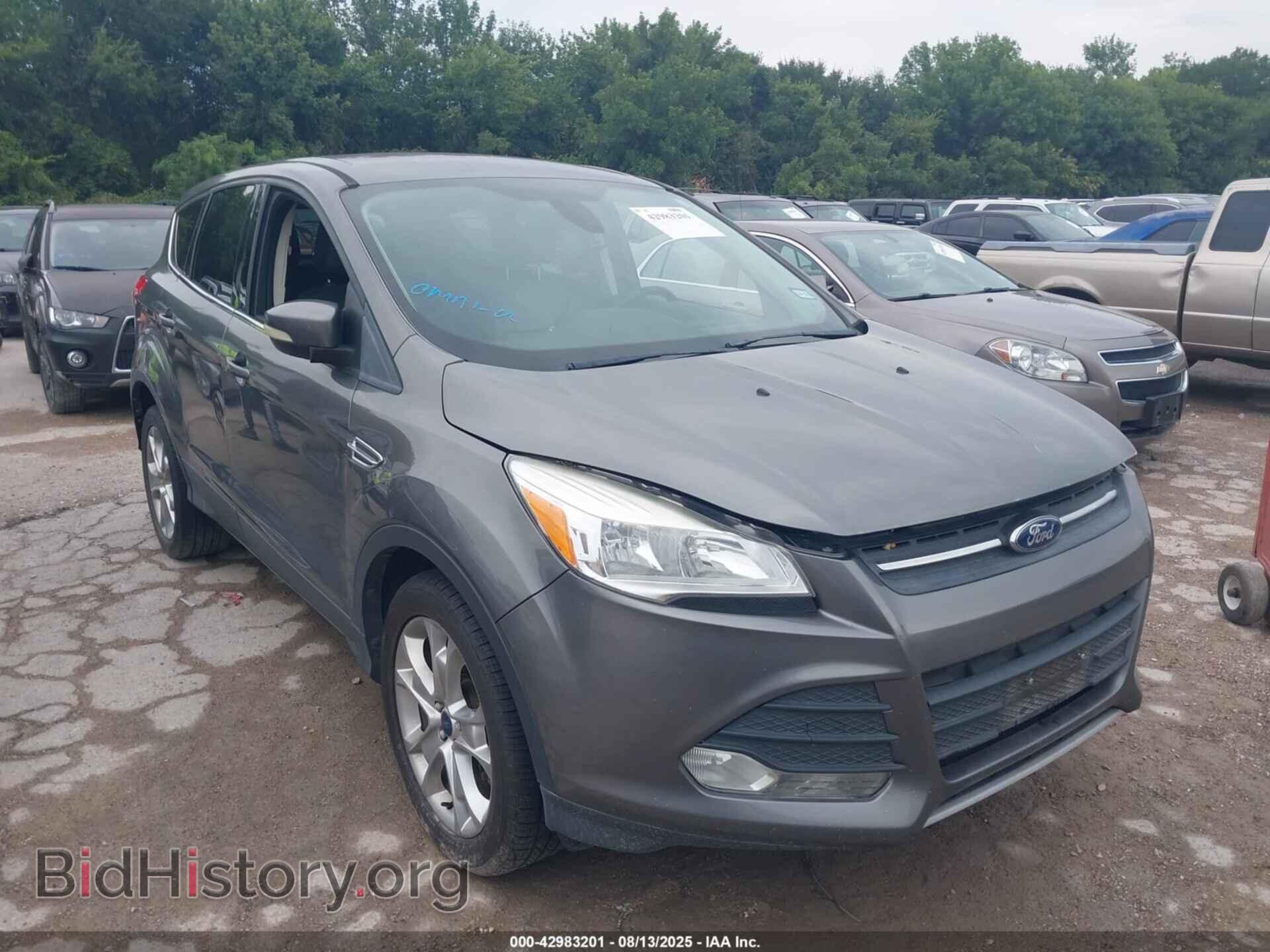 Фотография 1FMCU0H95DUC45245 - FORD ESCAPE 2013