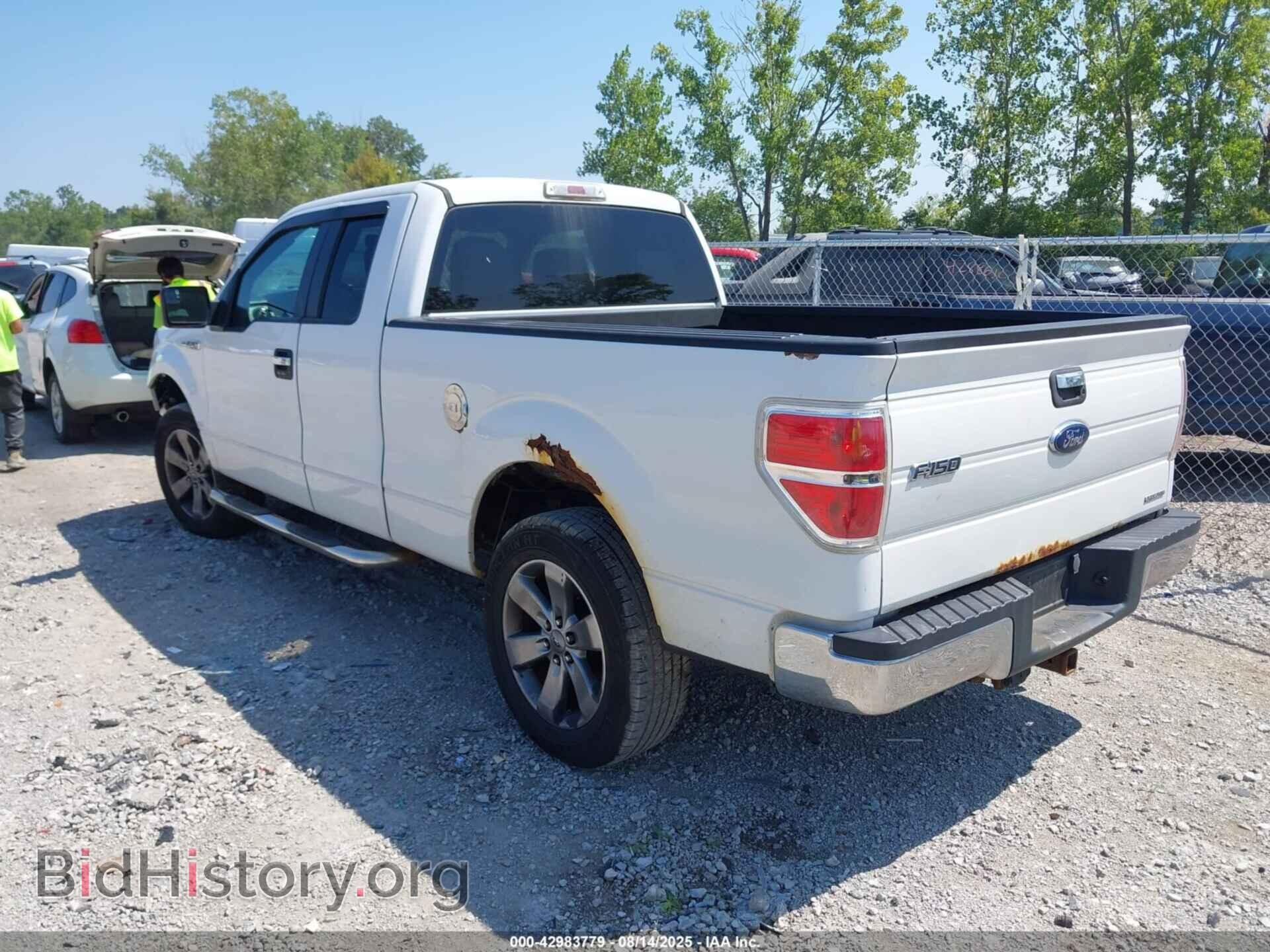 2013 FORD F-150 - VIN: 1FTFX1CF6DFB17533 - Фото 3