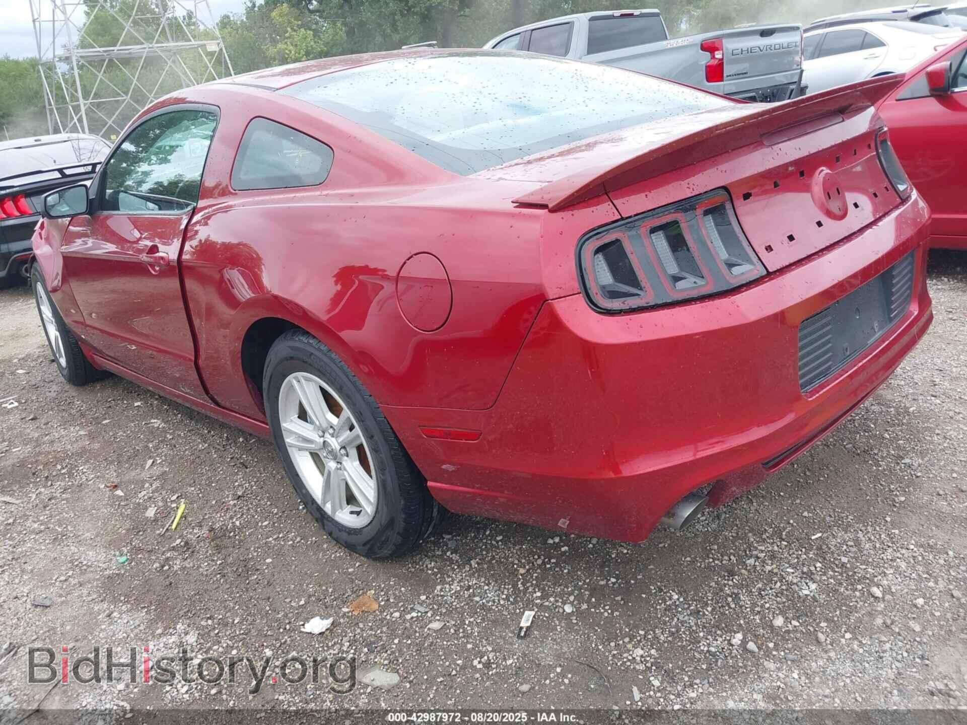 2014 FORD MUSTANG - VIN: 1ZVBP8AM0E5208665 - Фото 3
