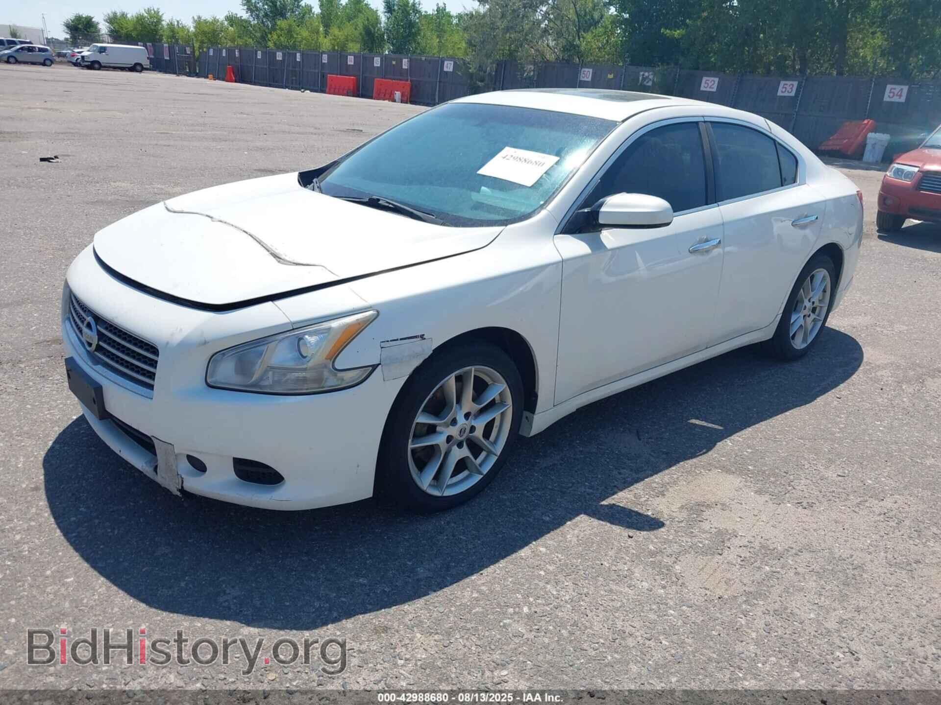 2010 NISSAN MAXIMA - VIN: 1N4AA5AP1AC804646 - Фото 2