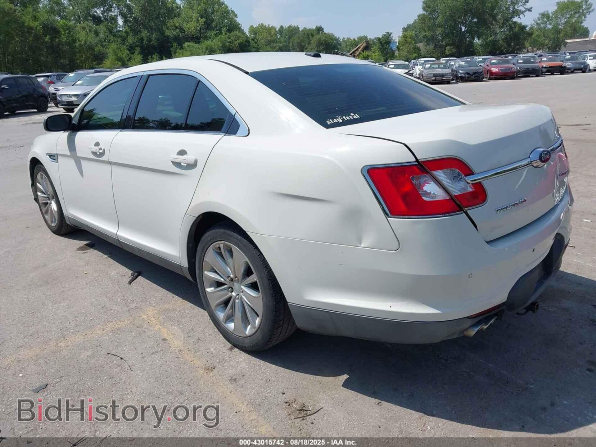2010 FORD TAURUS - VIN: 1FAHP2FW1AG134553 - Фото 3