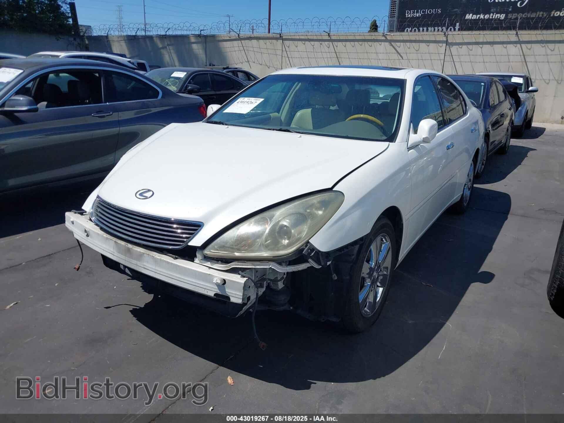 2006 LEXUS ES 330 - VIN: JTHBA30G165159737 - Фото 2