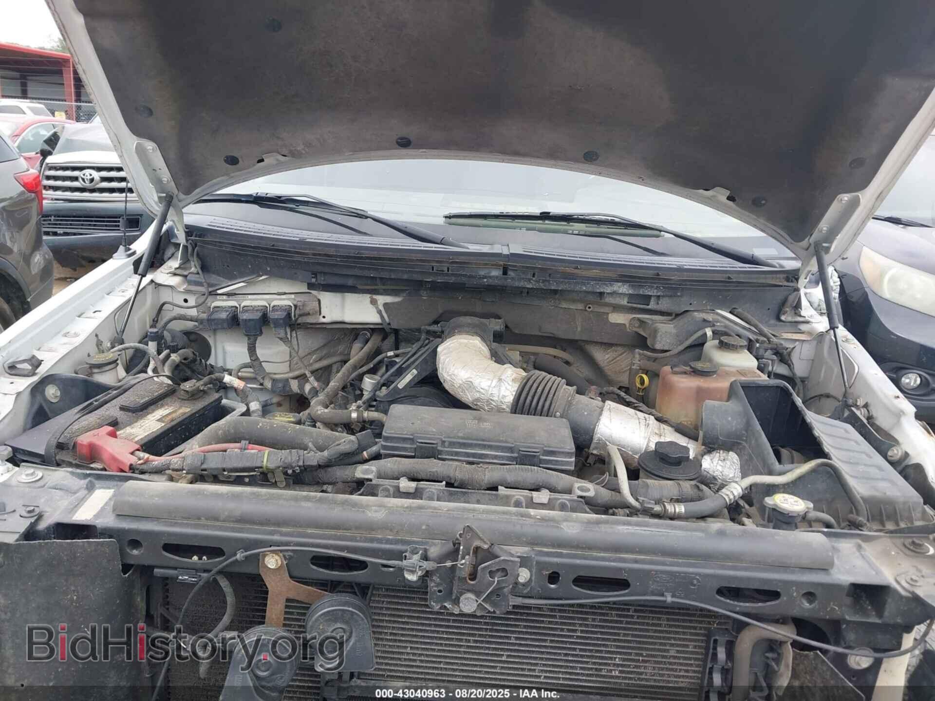 2010 FORD F-150 - VIN: 1FTNF1EV8AKE63086 - Фото 10
