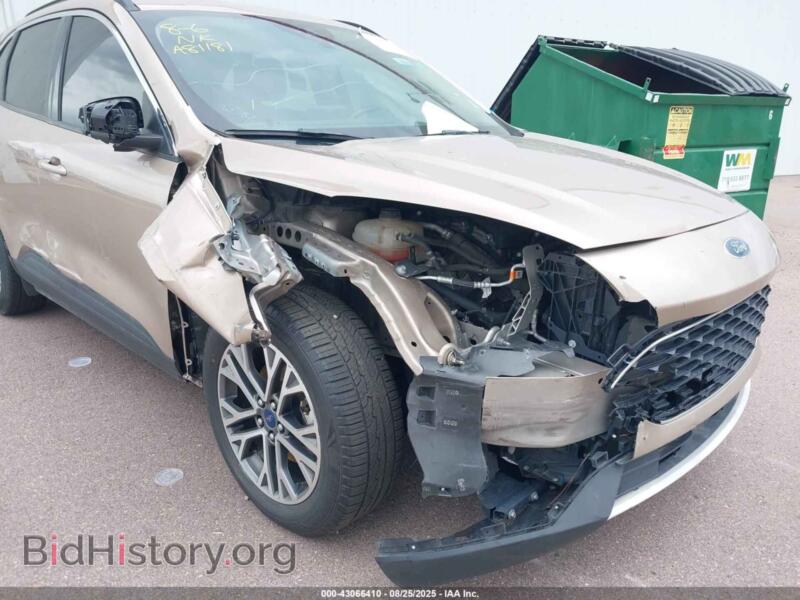 2020 Ford ESCAPE (VIN 1FMCU0H60LUA81181) — фото 6 из 18