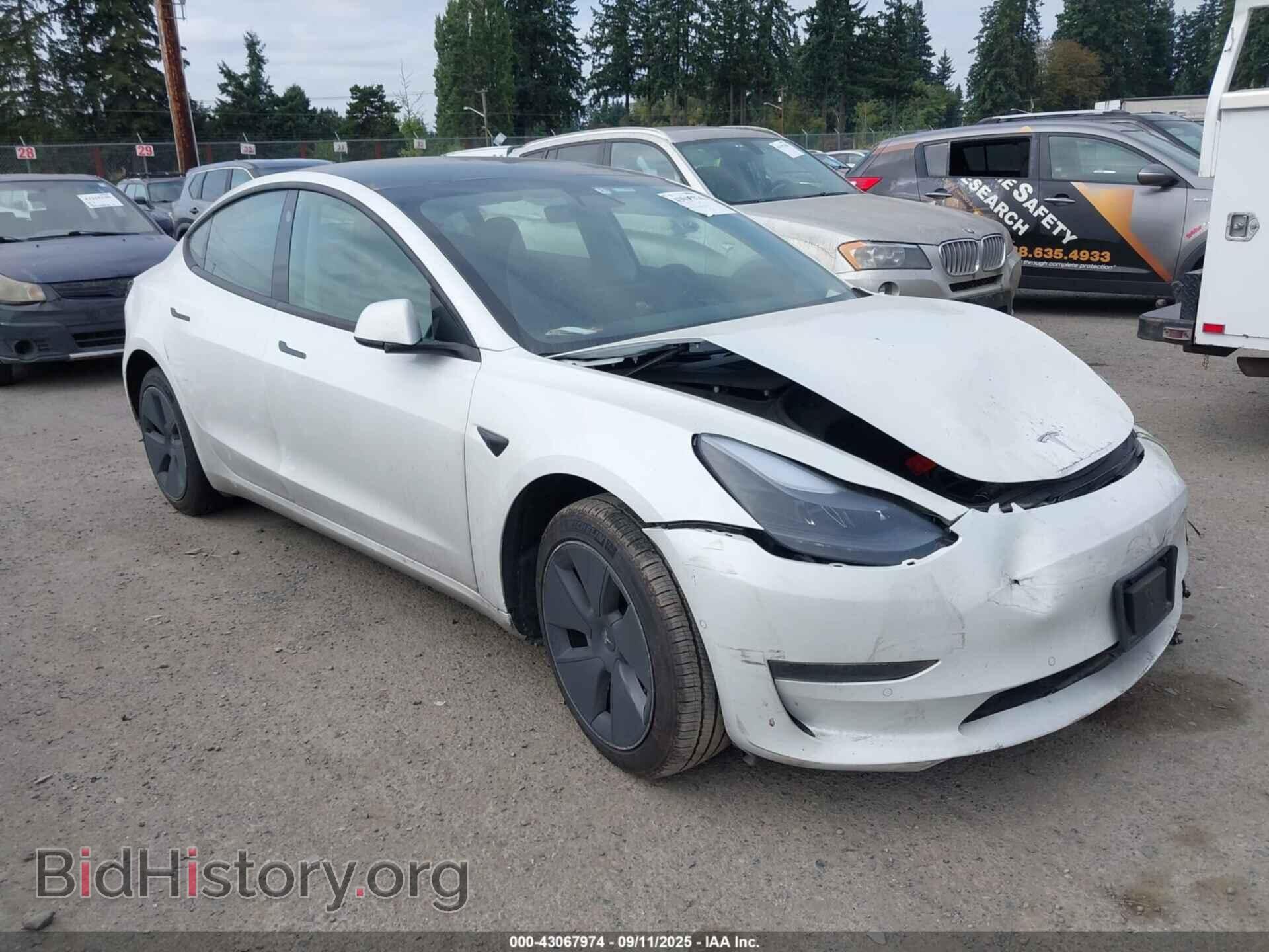 Photo 5YJ3E1EA5MF051636 - TESLA MODEL 3 2021