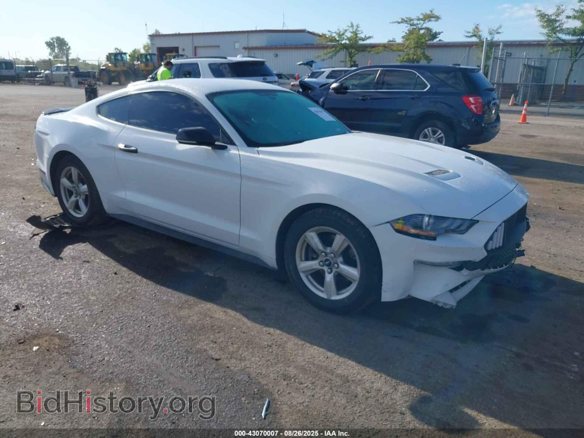 Фотография 1FA6P8TH4K5122801 - FORD MUSTANG 2019