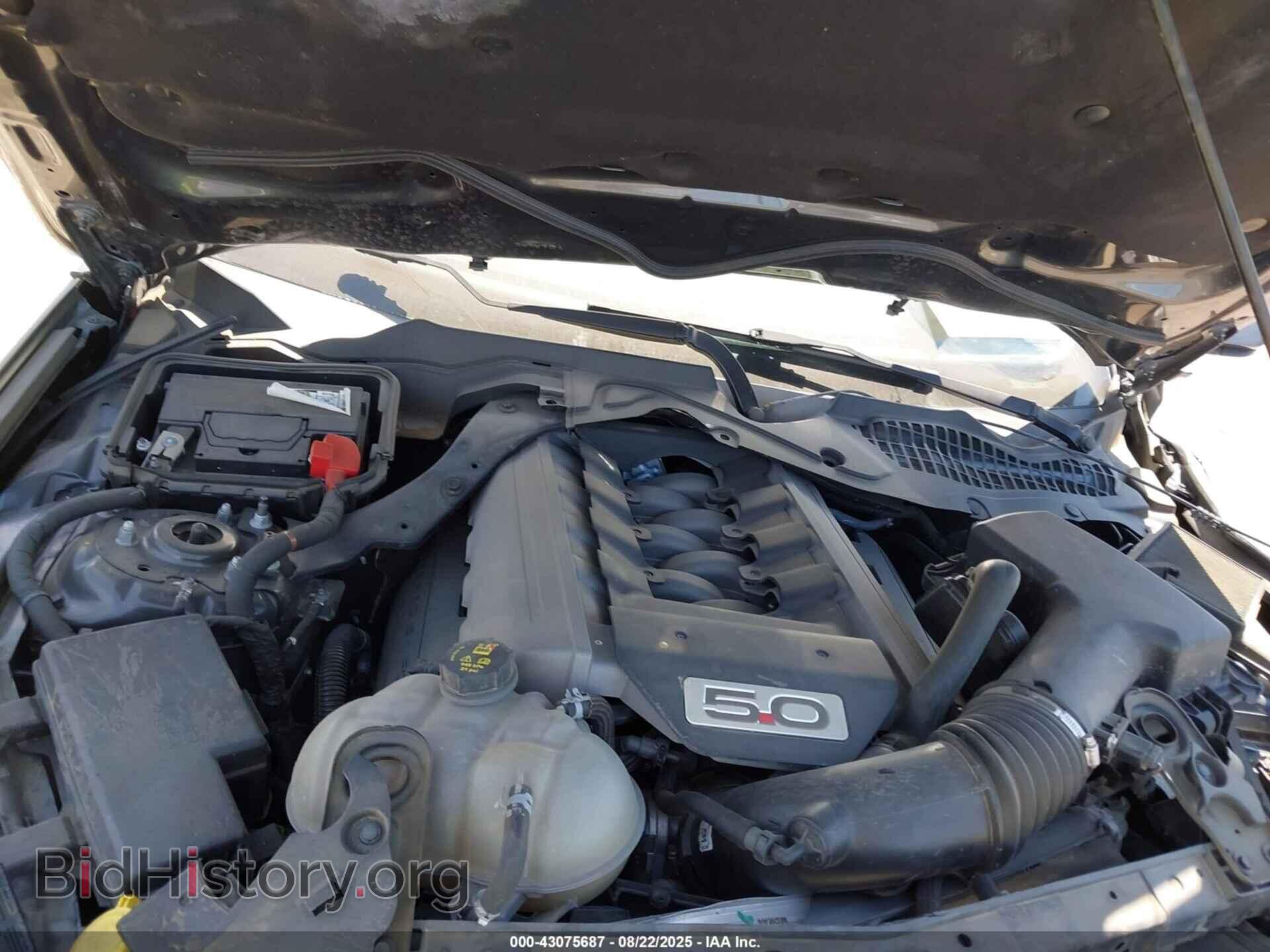 2017 FORD MUSTANG - VIN: 1FA6P8CF4H5319524 - Фото 10