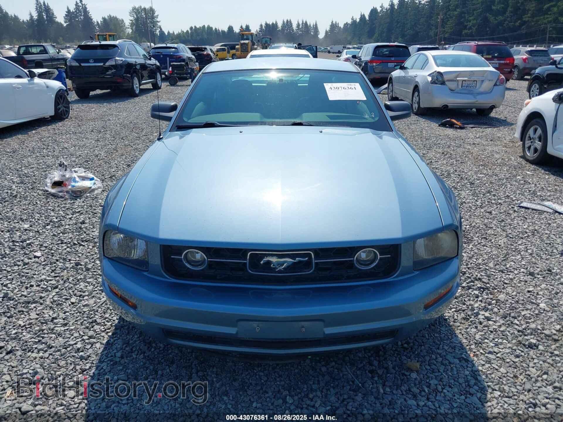 2006 FORD MUSTANG - VIN: 1ZVHT80N065160103 - Фото 12