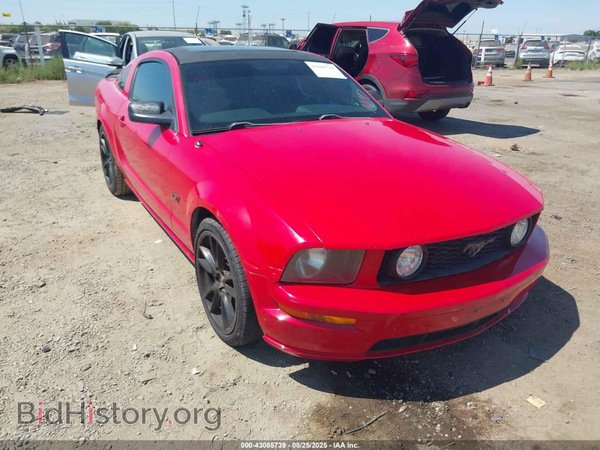 Photo 1ZVHT82H255129974 - FORD MUSTANG 2005