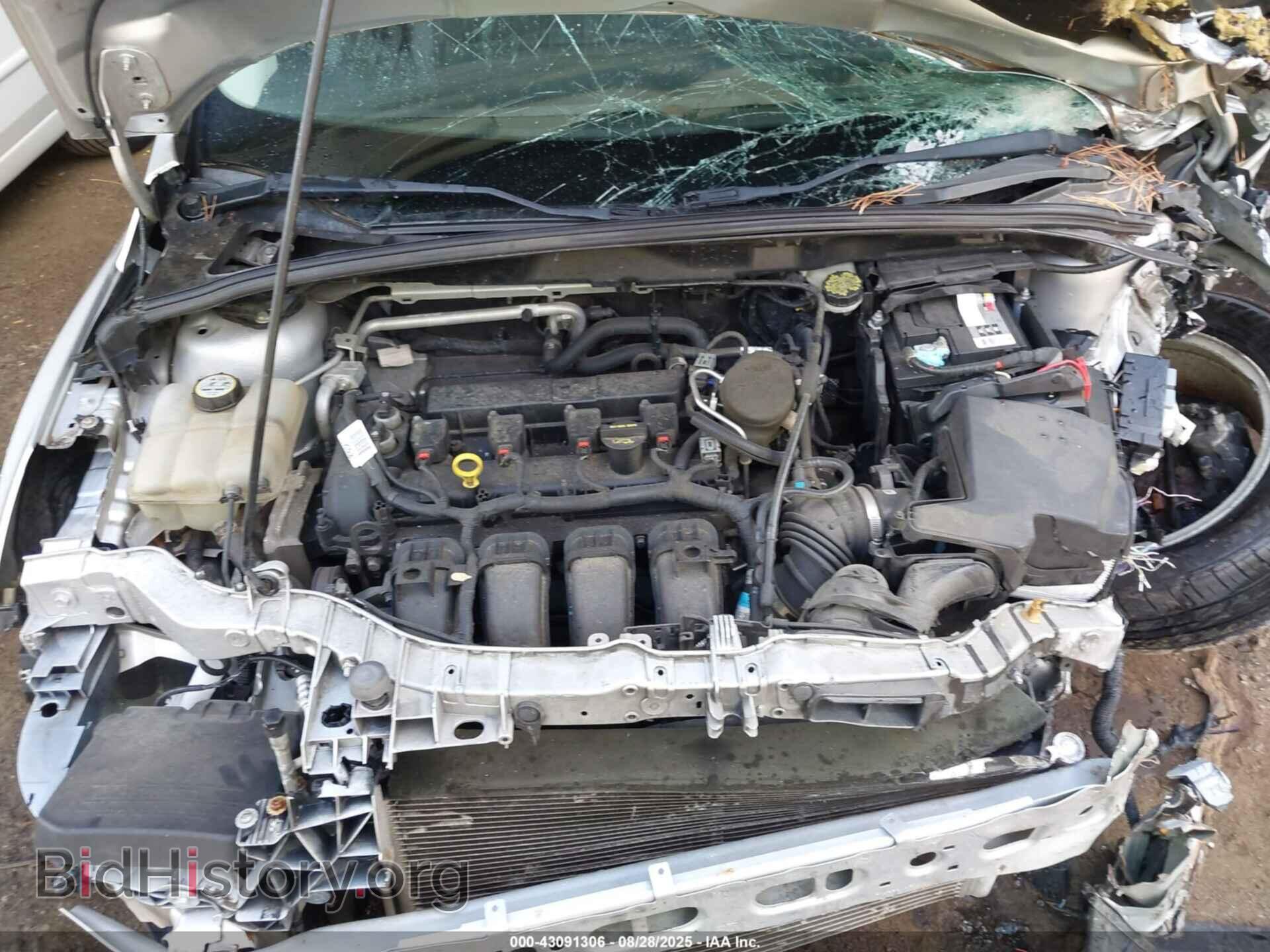 2013 FORD FOCUS - VIN: 1FADP3F23DL291739 - Фото 10