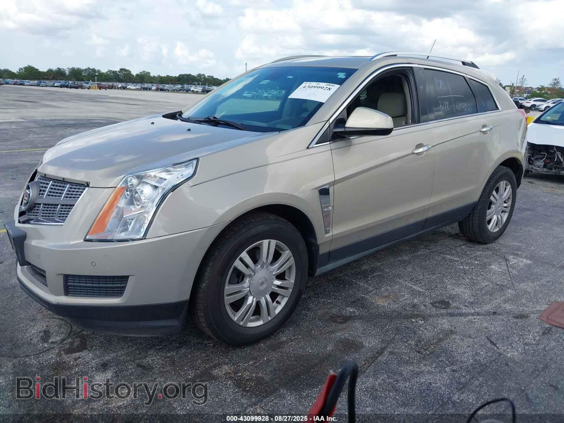 2011 CADILLAC SRX - VIN: 3GYFNDEY8BS673528 - Фото 2