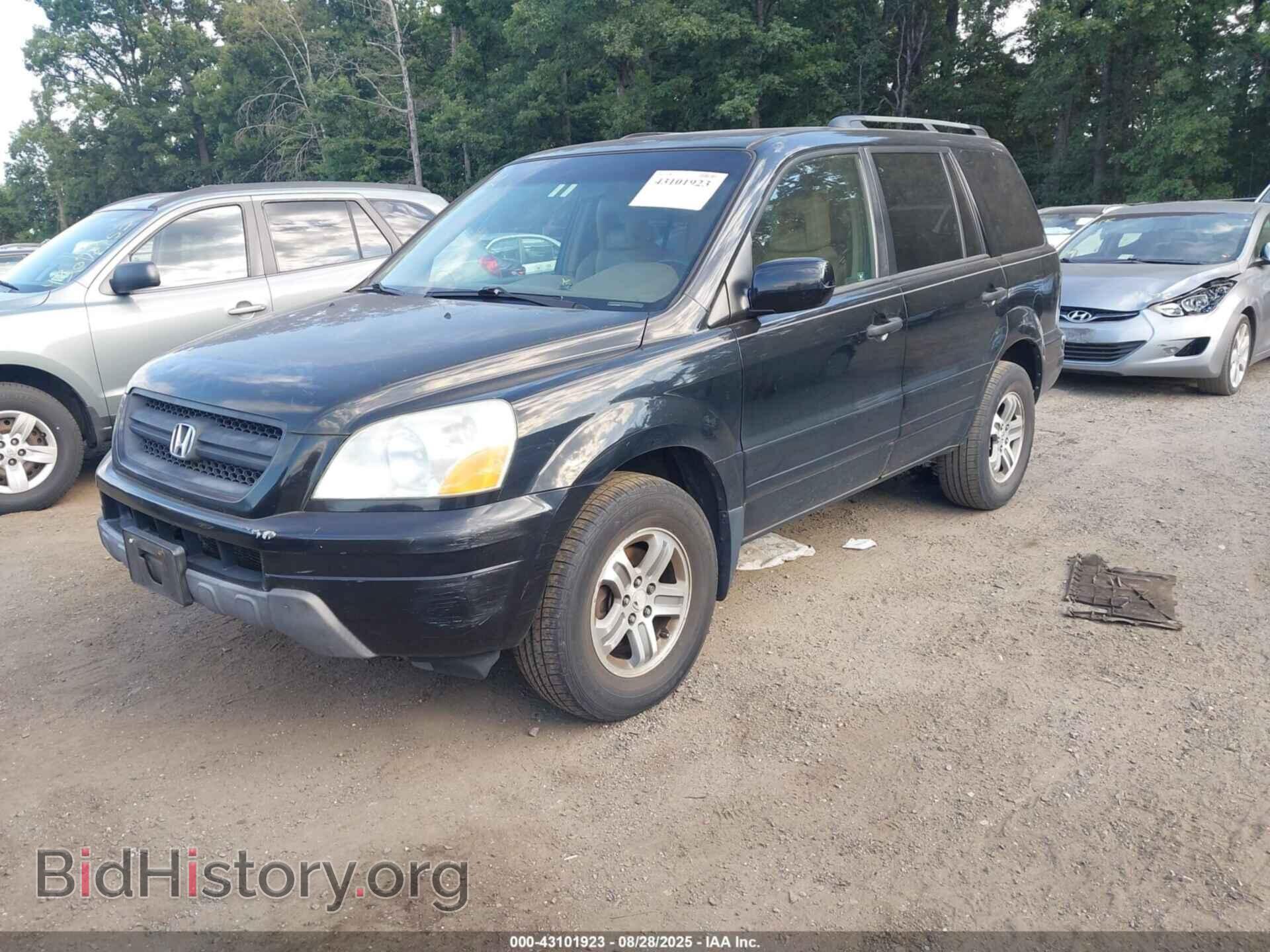2005 HONDA PILOT - VIN: 5FNYF185X5B011409 - Фото 2
