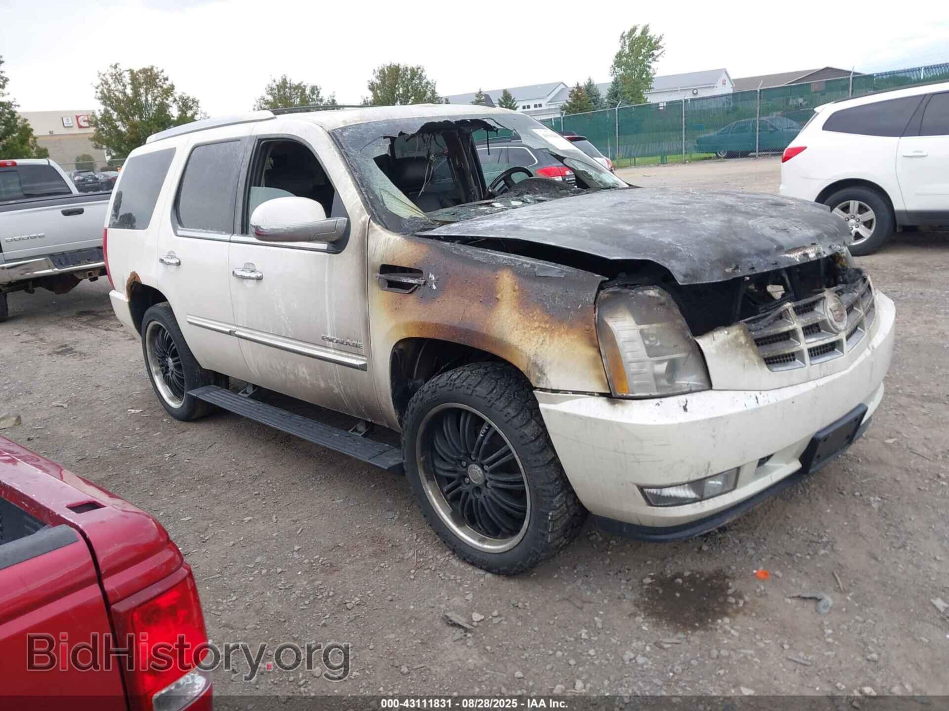 Фотография 1GYUKCEF8AR101143 - CADILLAC ESCALADE 2010