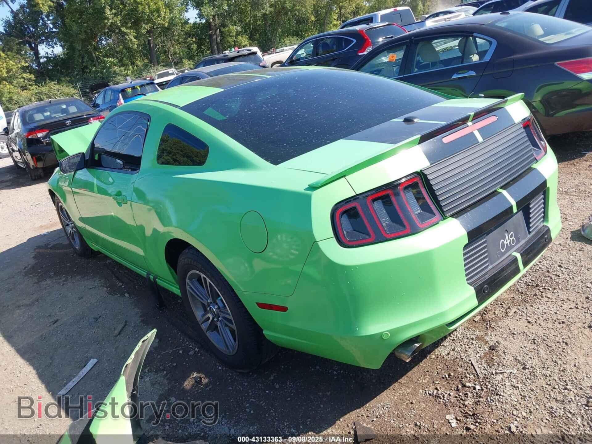 2013 FORD MUSTANG - VIN: 1ZVBP8AM9D5201048 - Фото 3