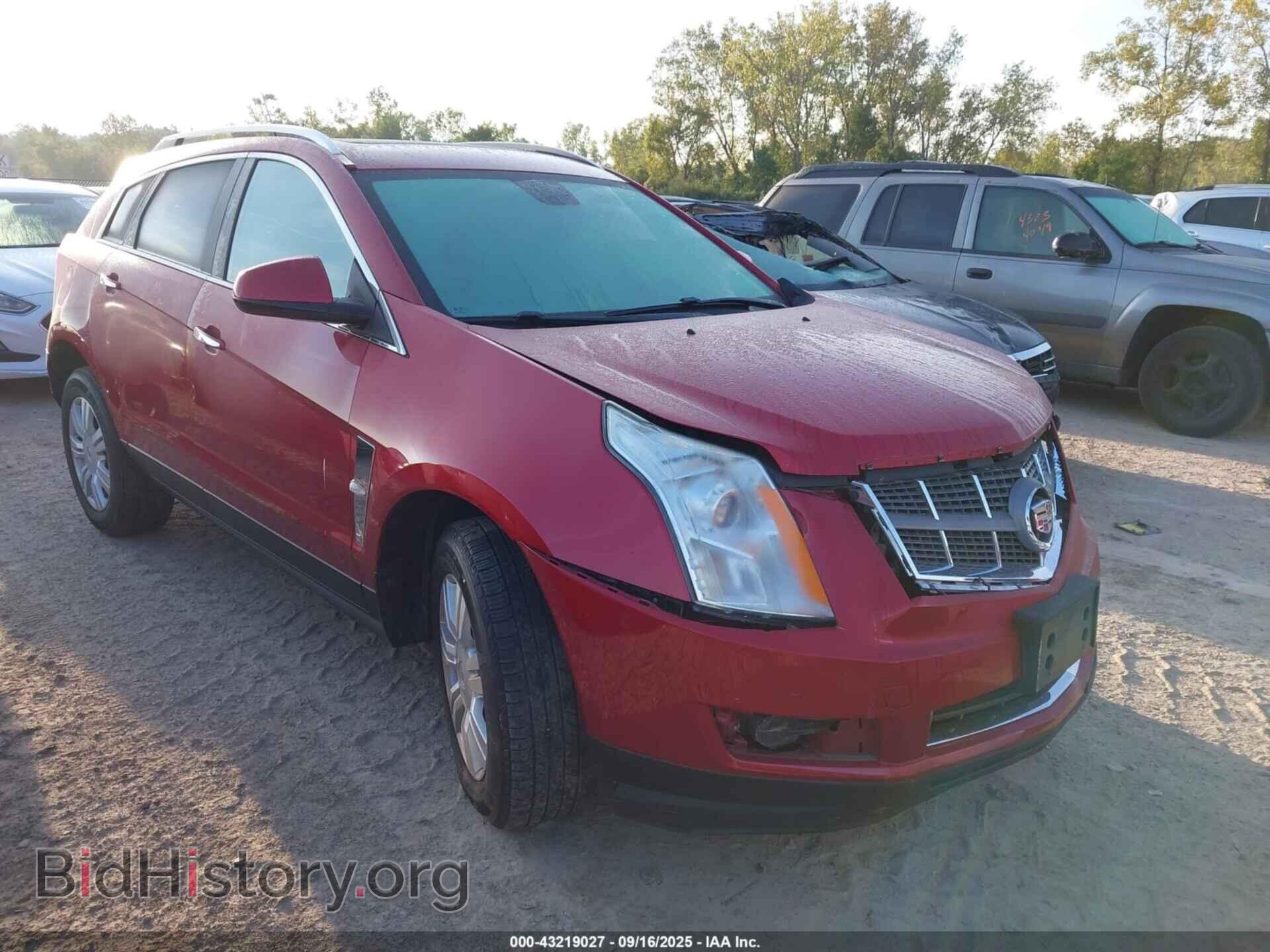 Photo 3GYFNAEY9BS565918 - CADILLAC SRX 2011