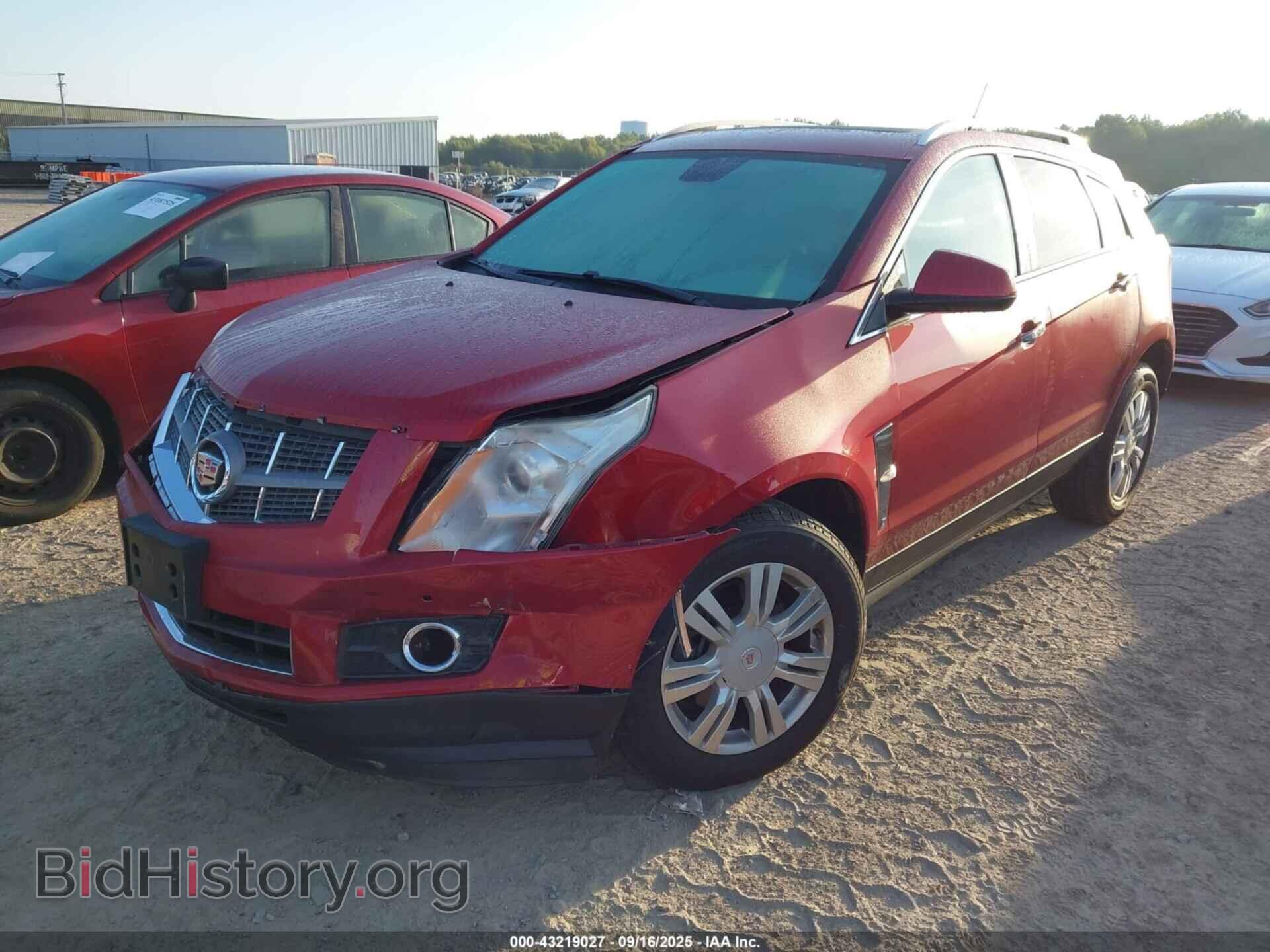 2011 CADILLAC SRX - VIN: 3GYFNAEY9BS565918 - Фото 2
