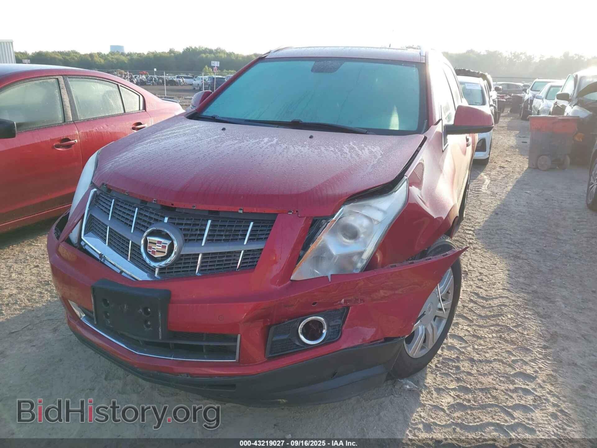 2011 CADILLAC SRX - VIN: 3GYFNAEY9BS565918 - Фото 6