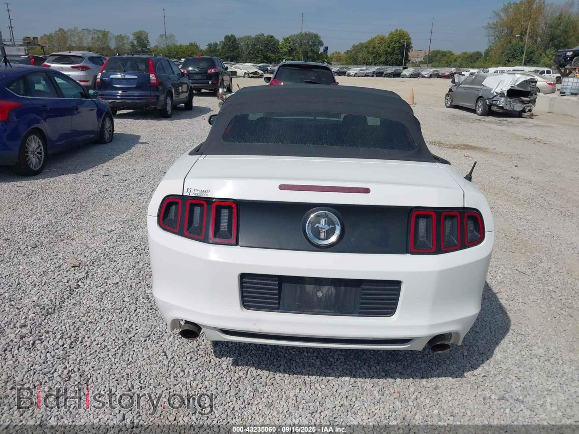 2013 FORD MUSTANG - VIN: 1ZVBP8EM0D5203877 - Фото 16